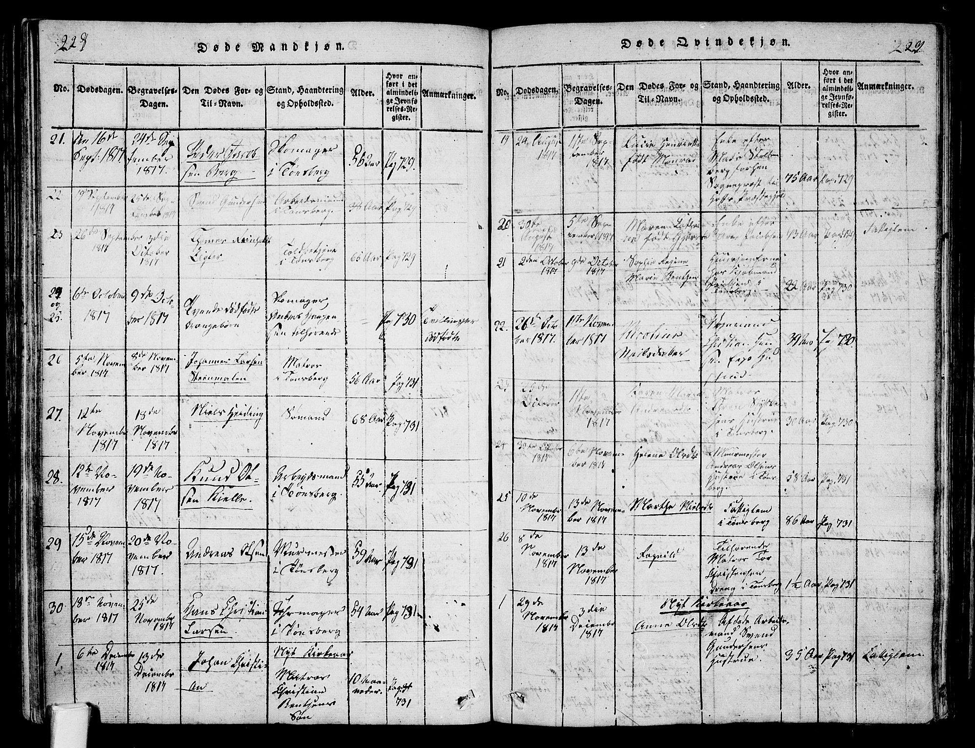 Tønsberg kirkebøker, SAKO/A-330/F/Fa/L0004: Parish register (official) no. I 4, 1813-1826, p. 228-229