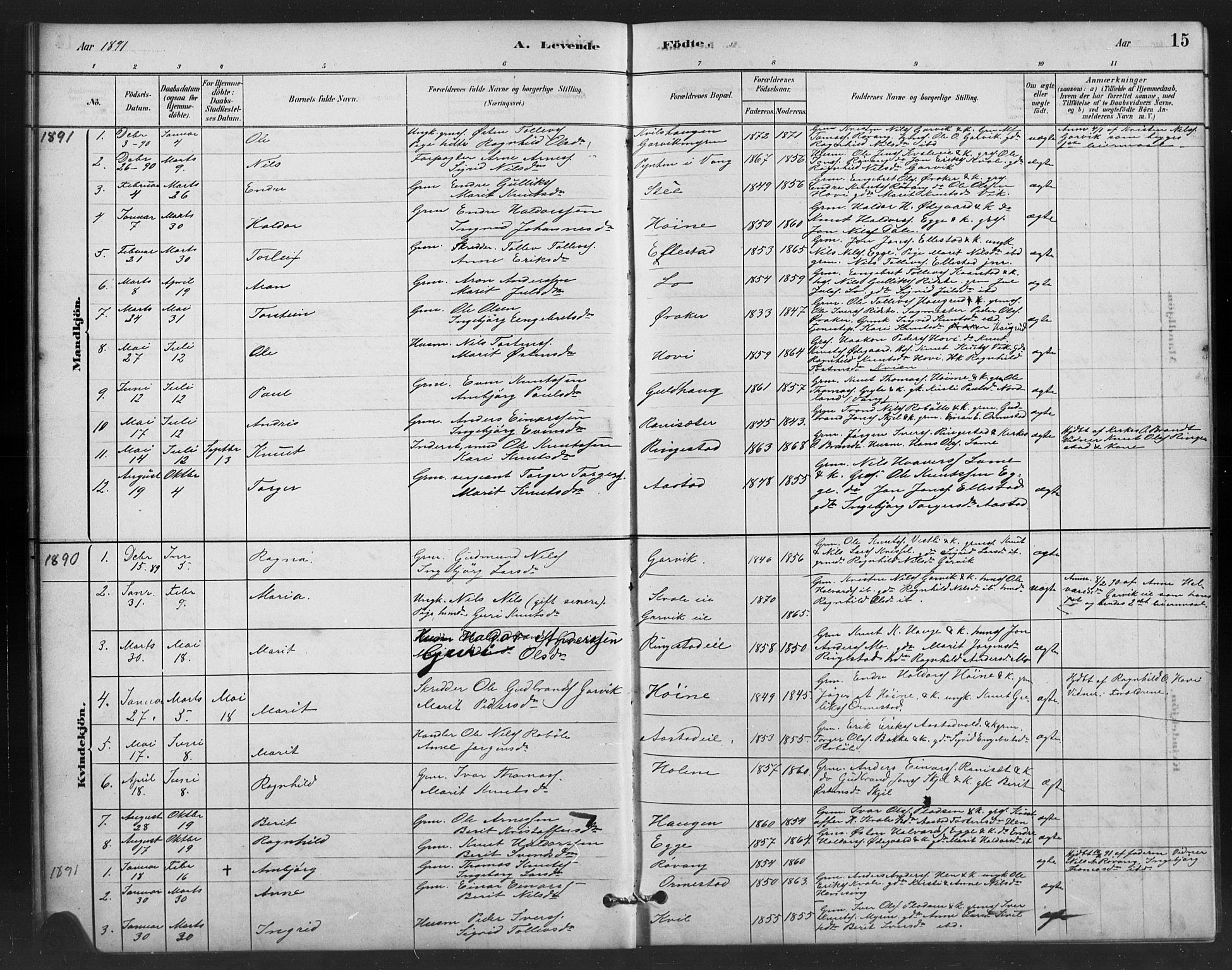 Vestre Slidre prestekontor, SAH/PREST-136/H/Ha/Hab/L0006: Parish register (copy) no. 6, 1881-1915, p. 15