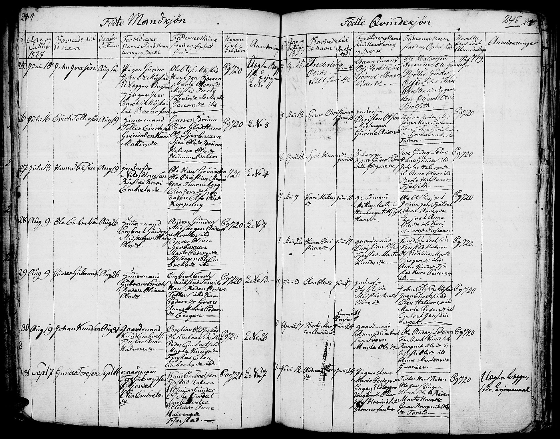 Elverum prestekontor, AV/SAH-PREST-044/H/Ha/Hab/L0001: Parish register (copy) no. 1, 1815-1829, p. 244-245