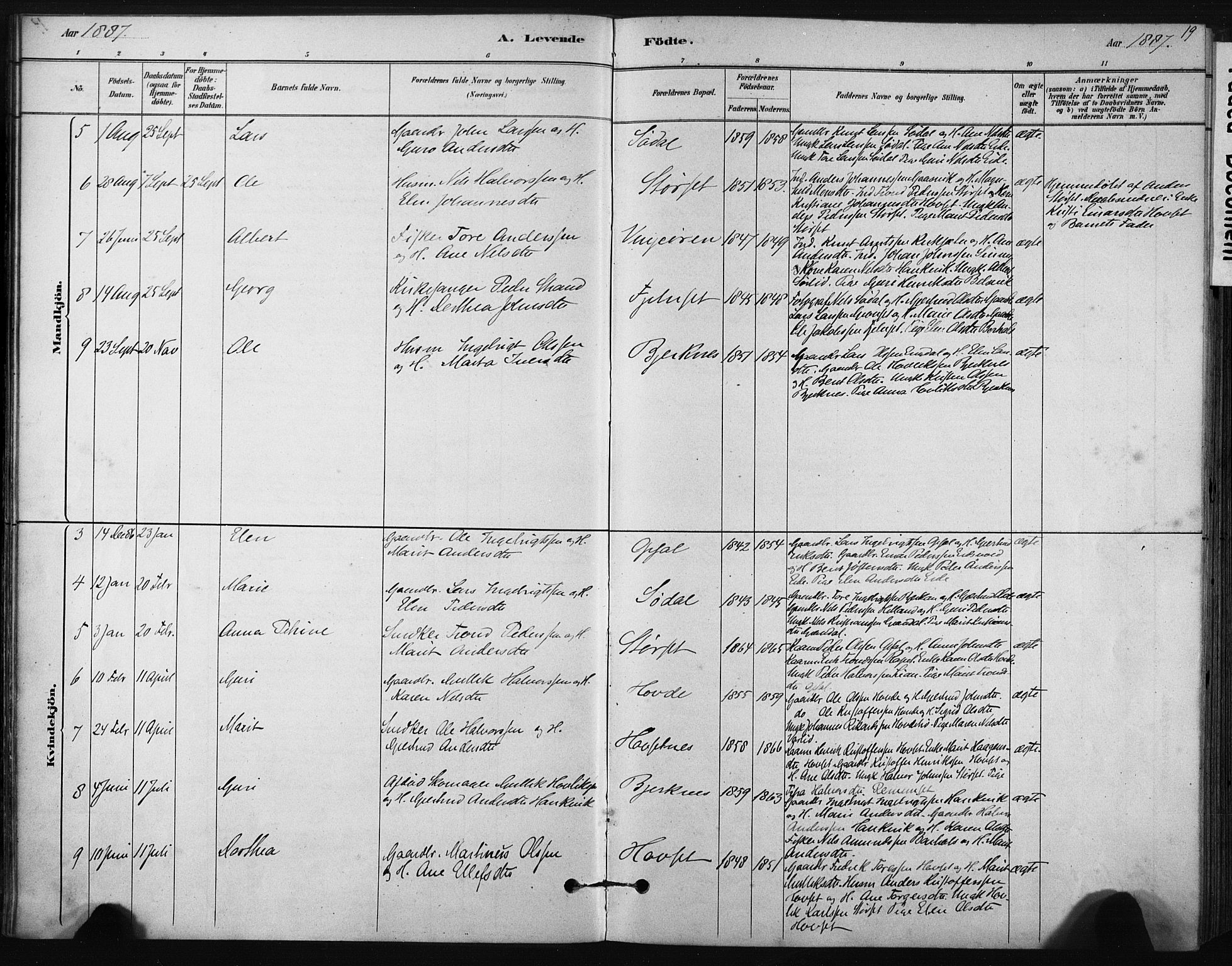 Ministerialprotokoller, klokkerbøker og fødselsregistre - Sør-Trøndelag, SAT/A-1456/631/L0512: Parish register (official) no. 631A01, 1879-1912, p. 19