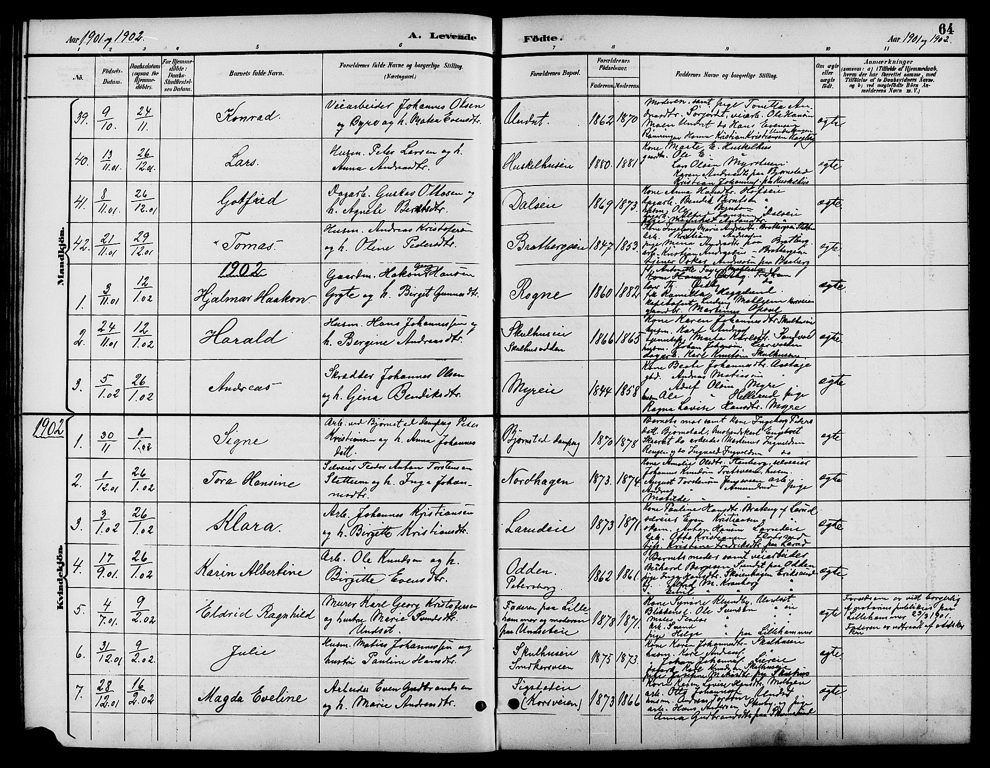 Biri prestekontor, SAH/PREST-096/H/Ha/Hab/L0004: Parish register (copy) no. 4, 1892-1909, p. 64