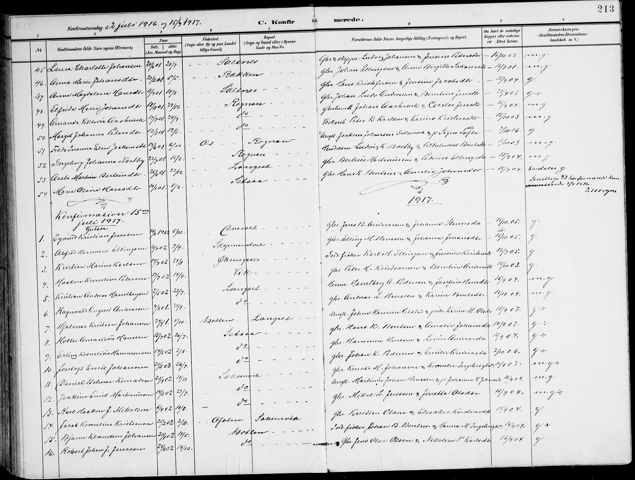 Ministerialprotokoller, klokkerbøker og fødselsregistre - Nordland, AV/SAT-A-1459/847/L0672: Parish register (official) no. 847A12, 1902-1919, p. 213