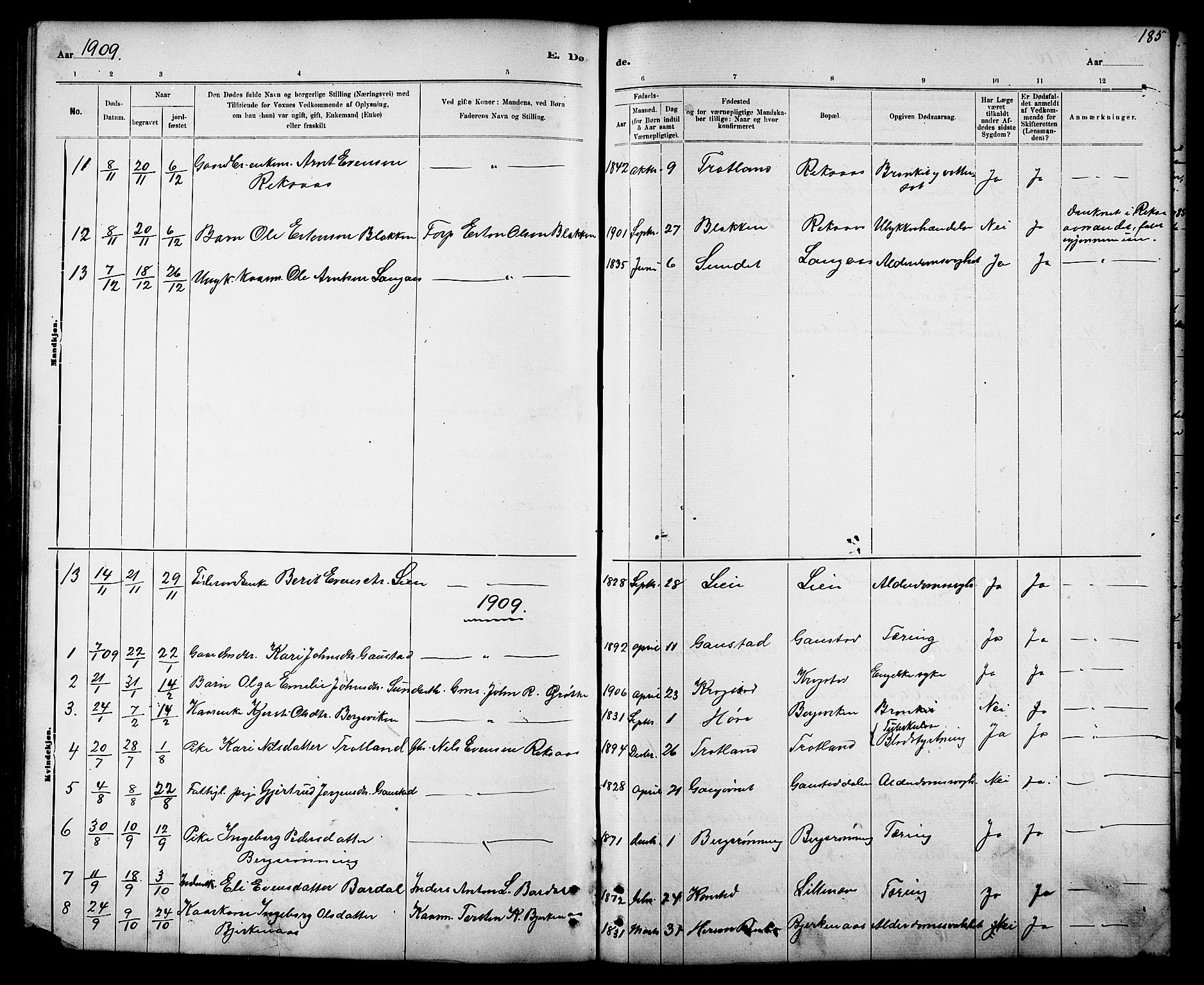 Ministerialprotokoller, klokkerbøker og fødselsregistre - Sør-Trøndelag, SAT/A-1456/694/L1132: Parish register (copy) no. 694C04, 1887-1914, p. 185