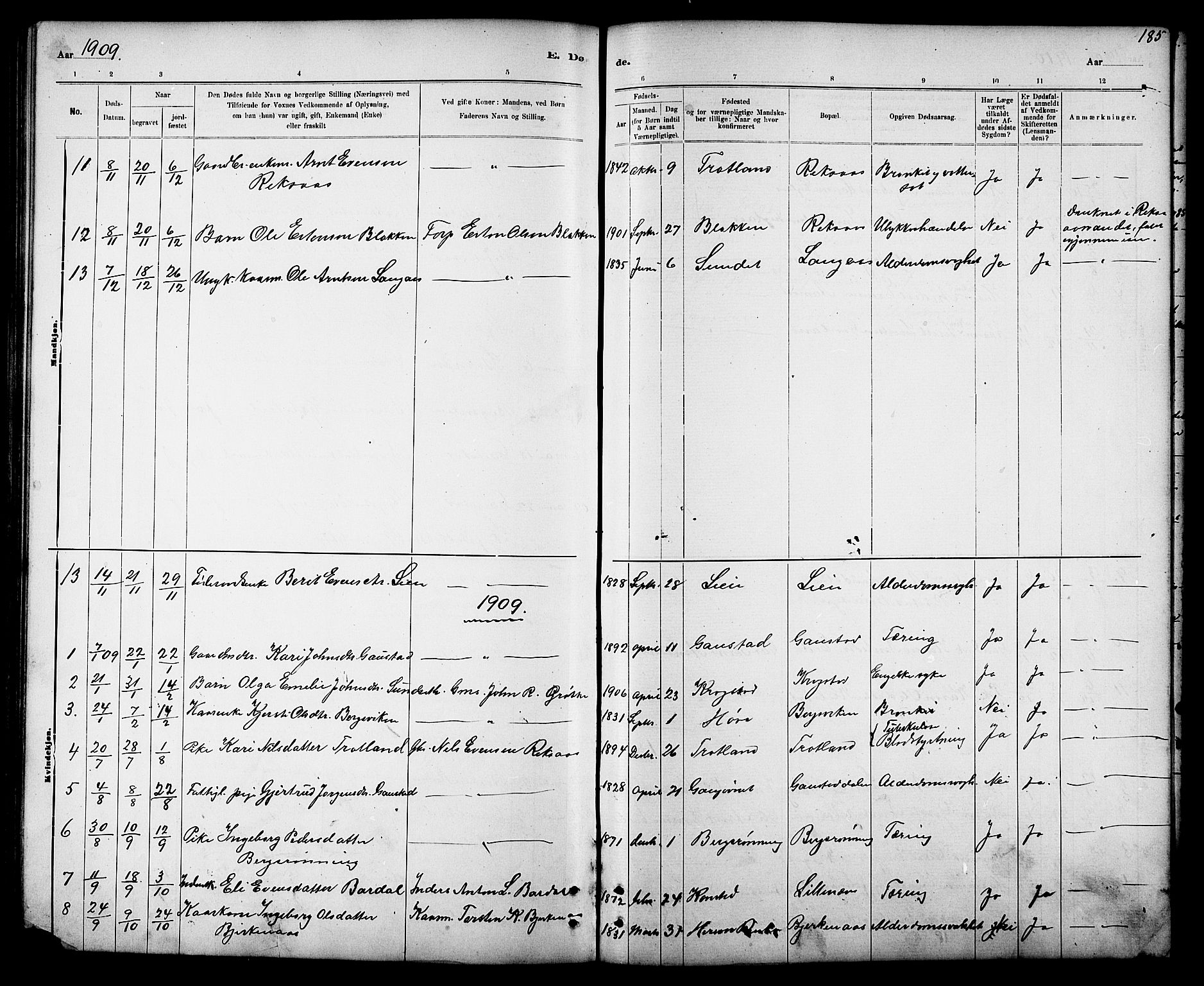 Ministerialprotokoller, klokkerbøker og fødselsregistre - Sør-Trøndelag, AV/SAT-A-1456/694/L1132: Parish register (copy) no. 694C04, 1887-1914, p. 185