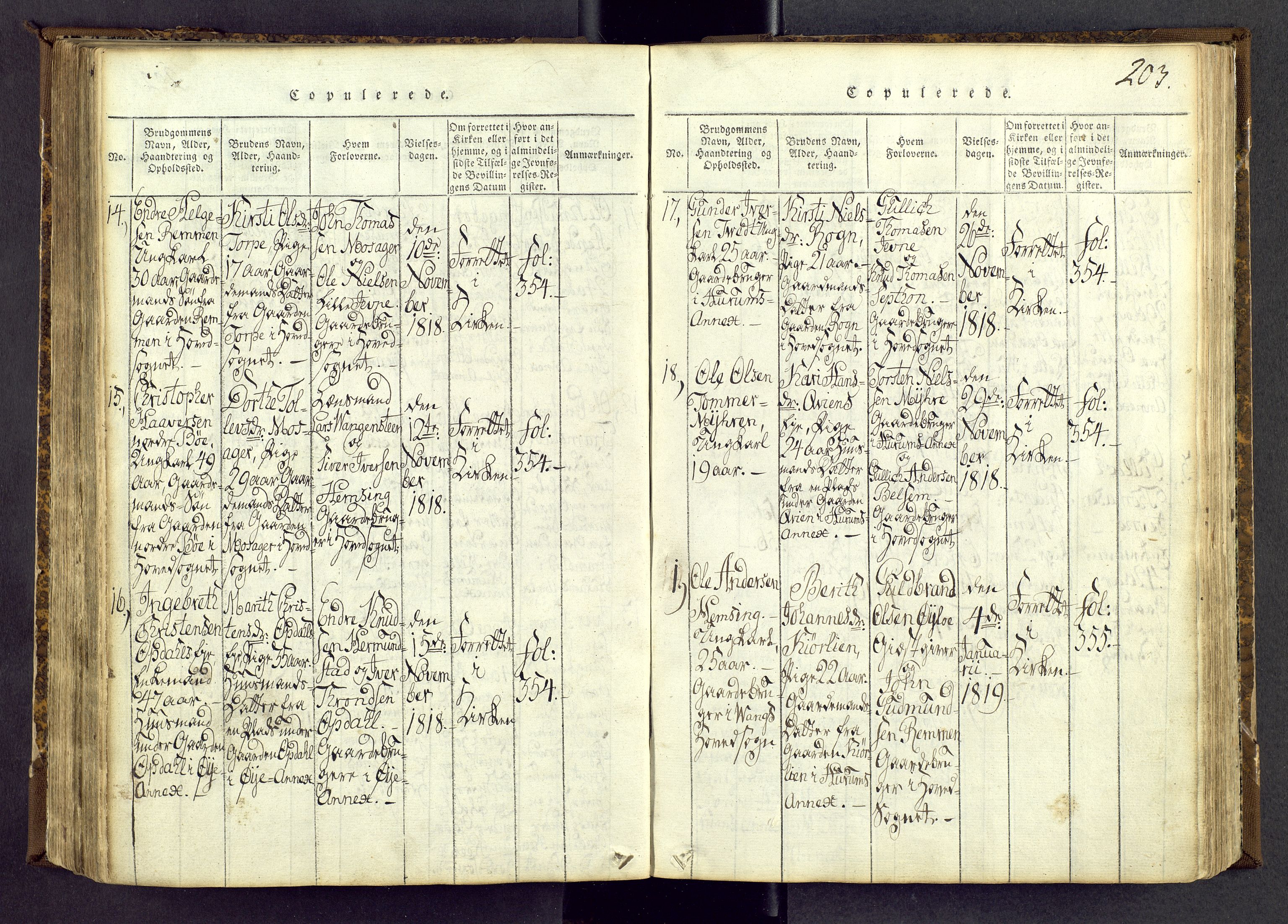Vang prestekontor, Valdres, SAH/PREST-140/H/Ha/L0004: Parish register (official) no. 4, 1814-1831, p. 203