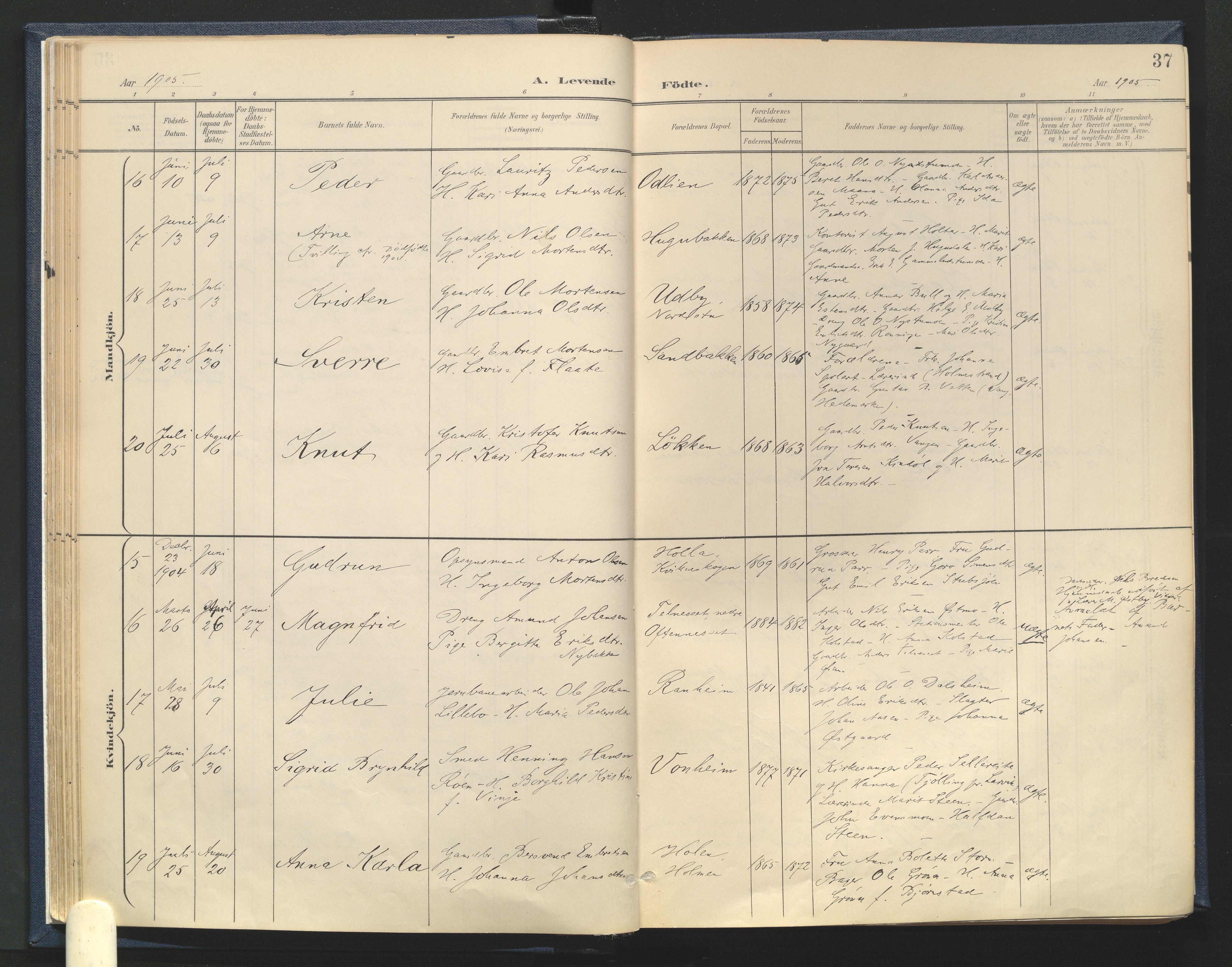 Tynset prestekontor, AV/SAH-PREST-058/H/Ha/Haa/L0025: Parish register (official) no. 25, 1900-1914, p. 37