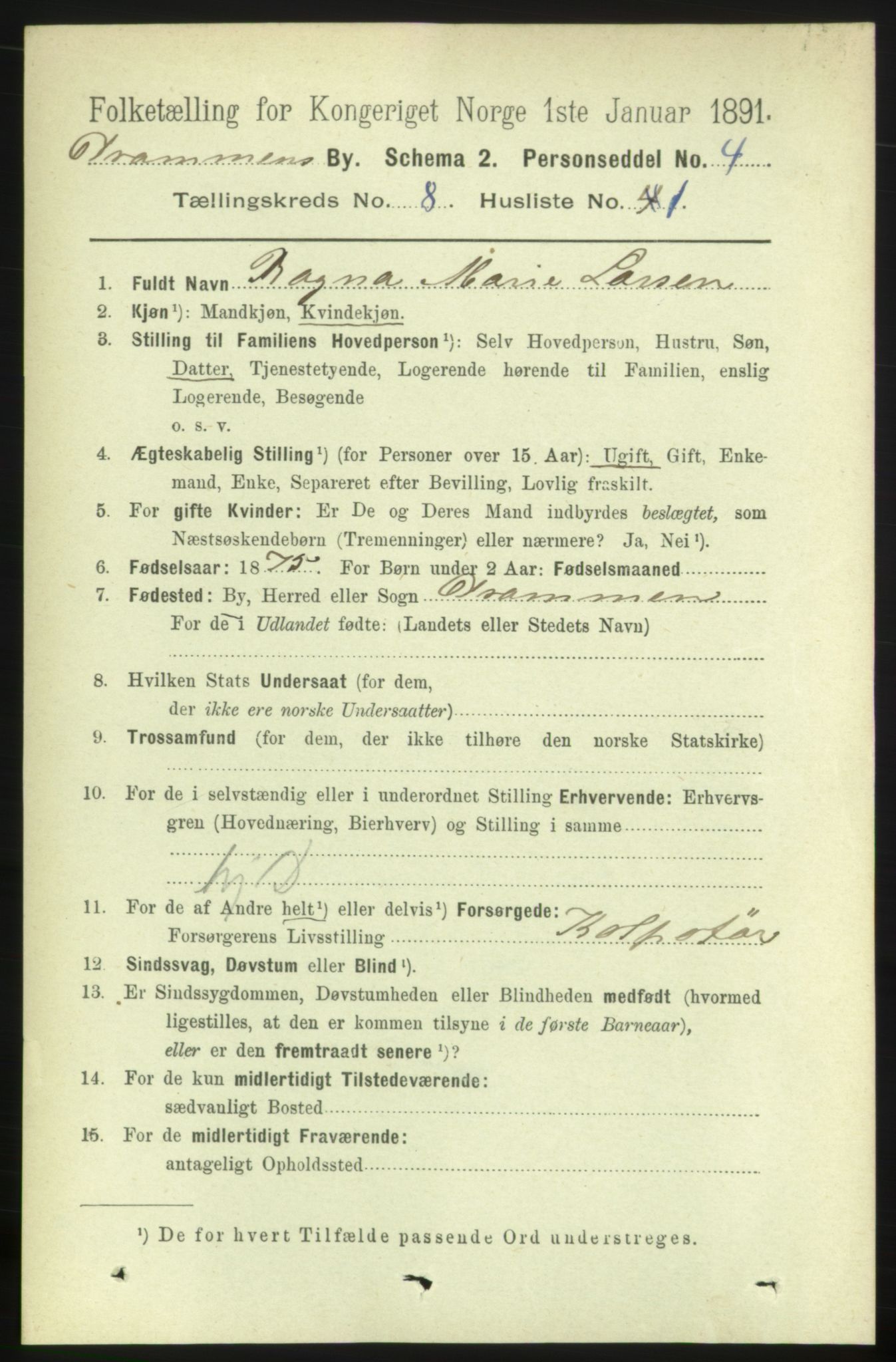 RA, 1891 census for 0602 Drammen, 1891, p. 6776