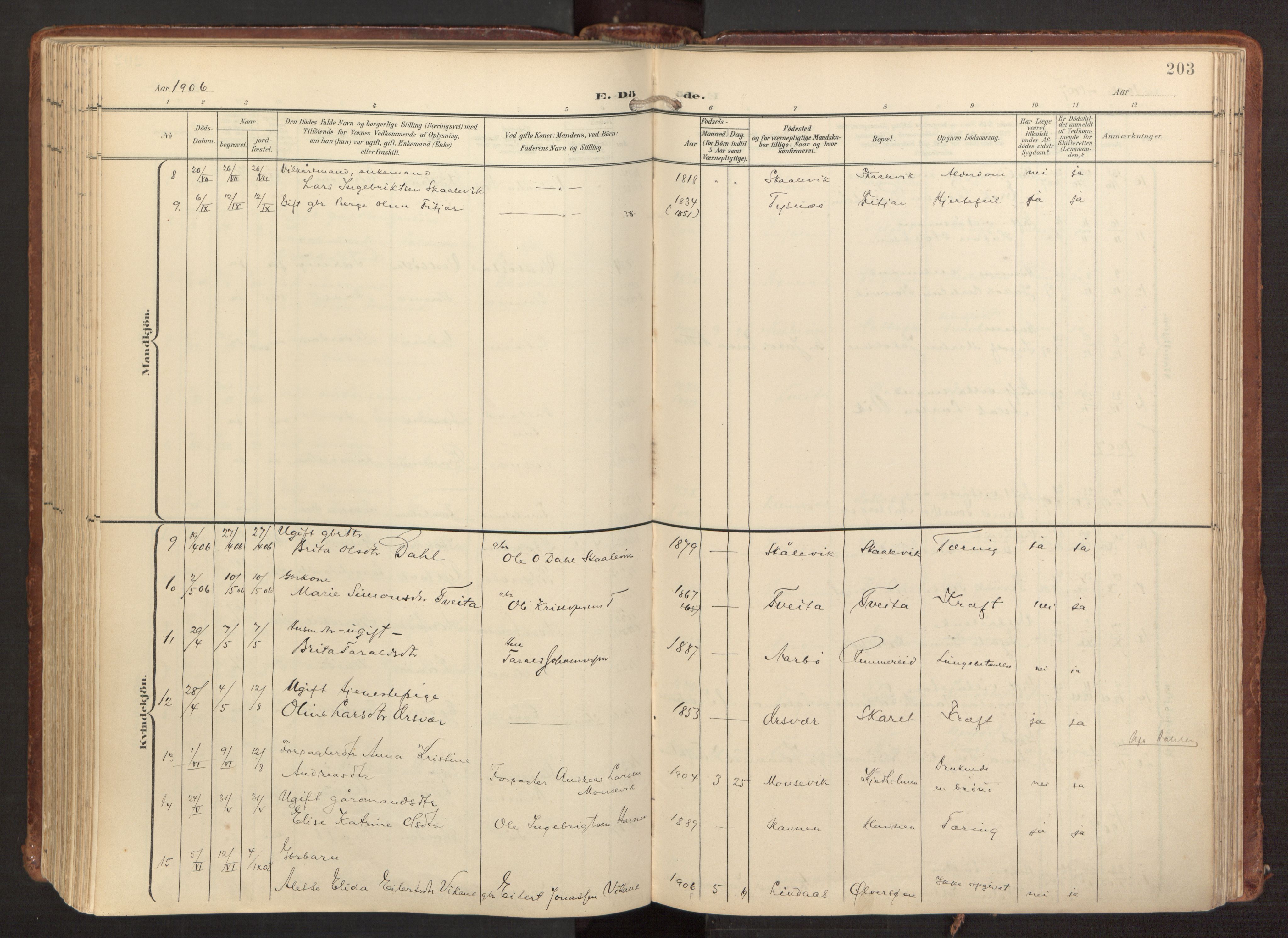 Fitjar sokneprestembete, AV/SAB-A-99926: Parish register (official) no. A 3, 1900-1918, p. 203