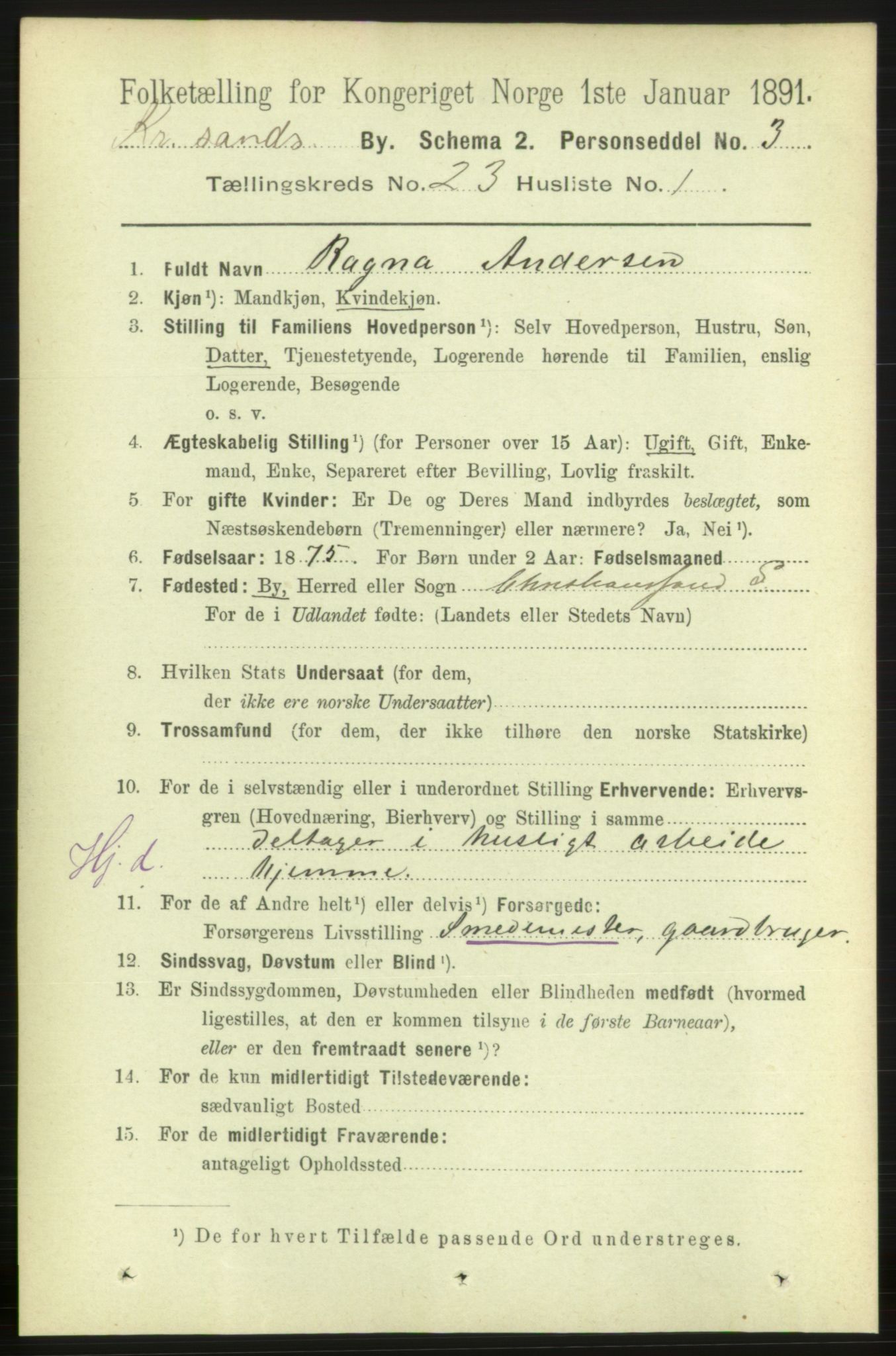 RA, 1891 census for 1001 Kristiansand, 1891, p. 8439