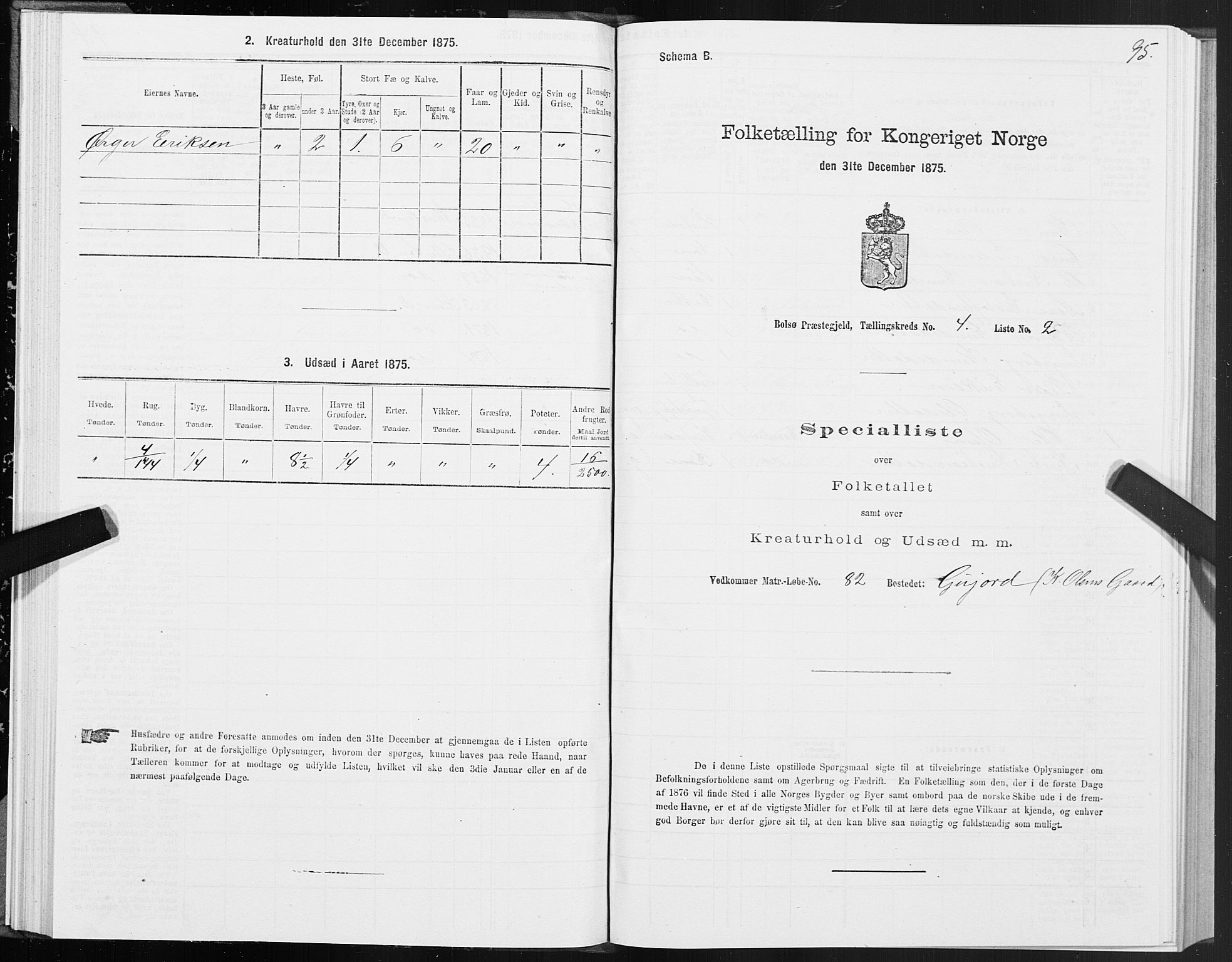 SAT, 1875 census for 1544P Bolsøy, 1875, p. 3095