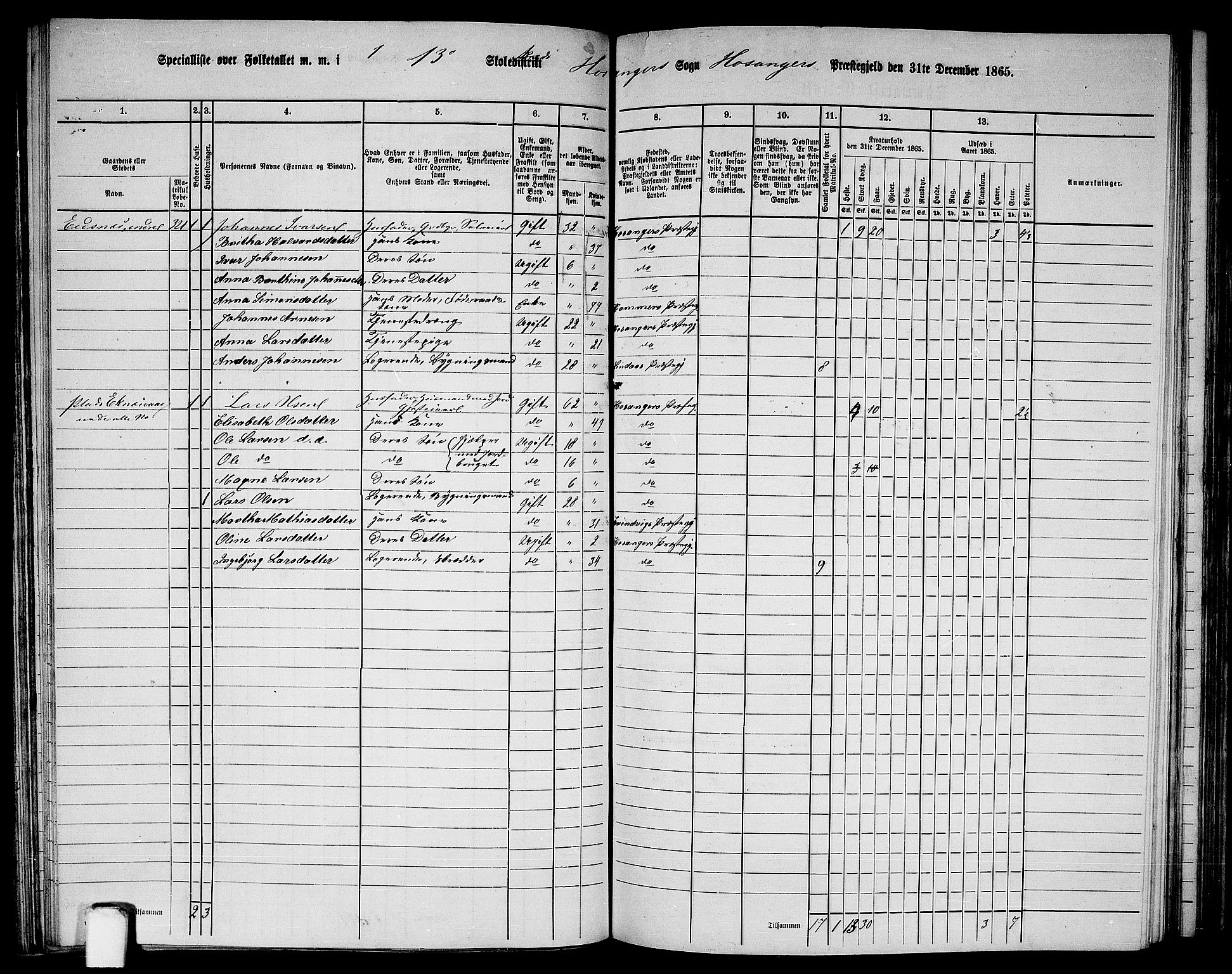 RA, 1865 census for Hosanger, 1865, p. 88