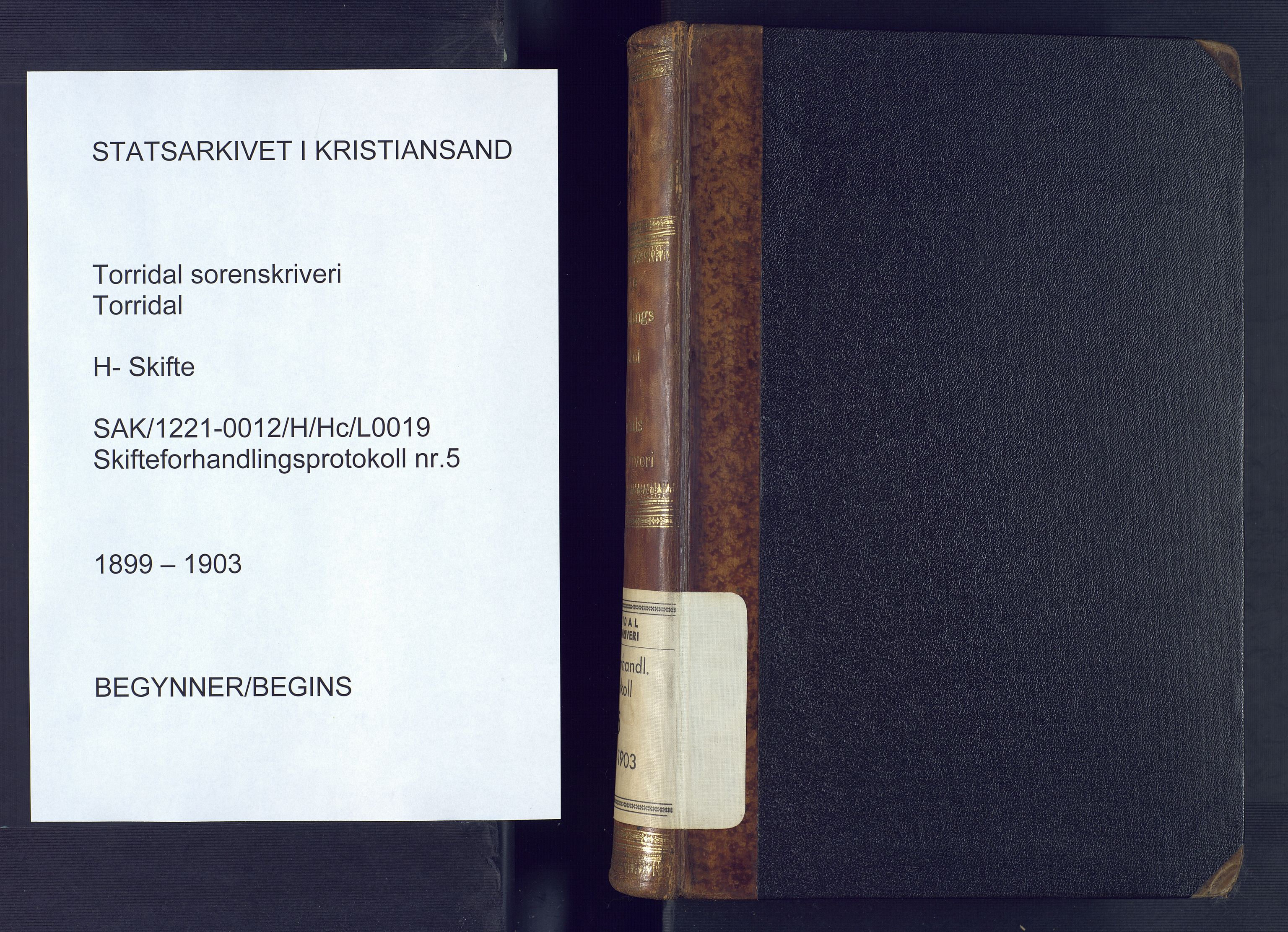 Torridal sorenskriveri, SAK/1221-0012/H/Hc/L0019: Skifteforhandlingsprotokoll med navneregister nr. 5, 1899-1903