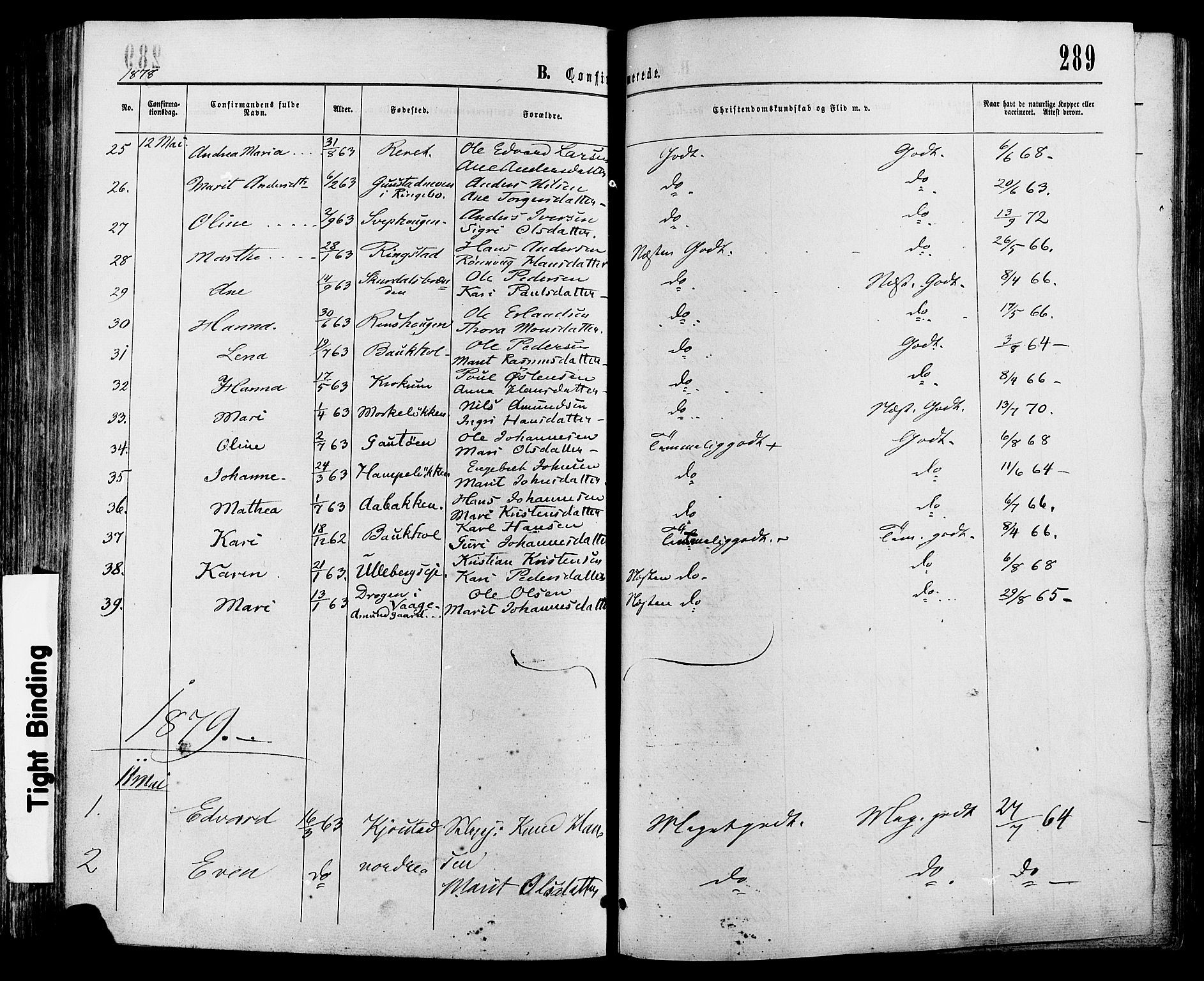 Sør-Fron prestekontor, SAH/PREST-010/H/Ha/Haa/L0002: Parish register (official) no. 2, 1864-1880, p. 289