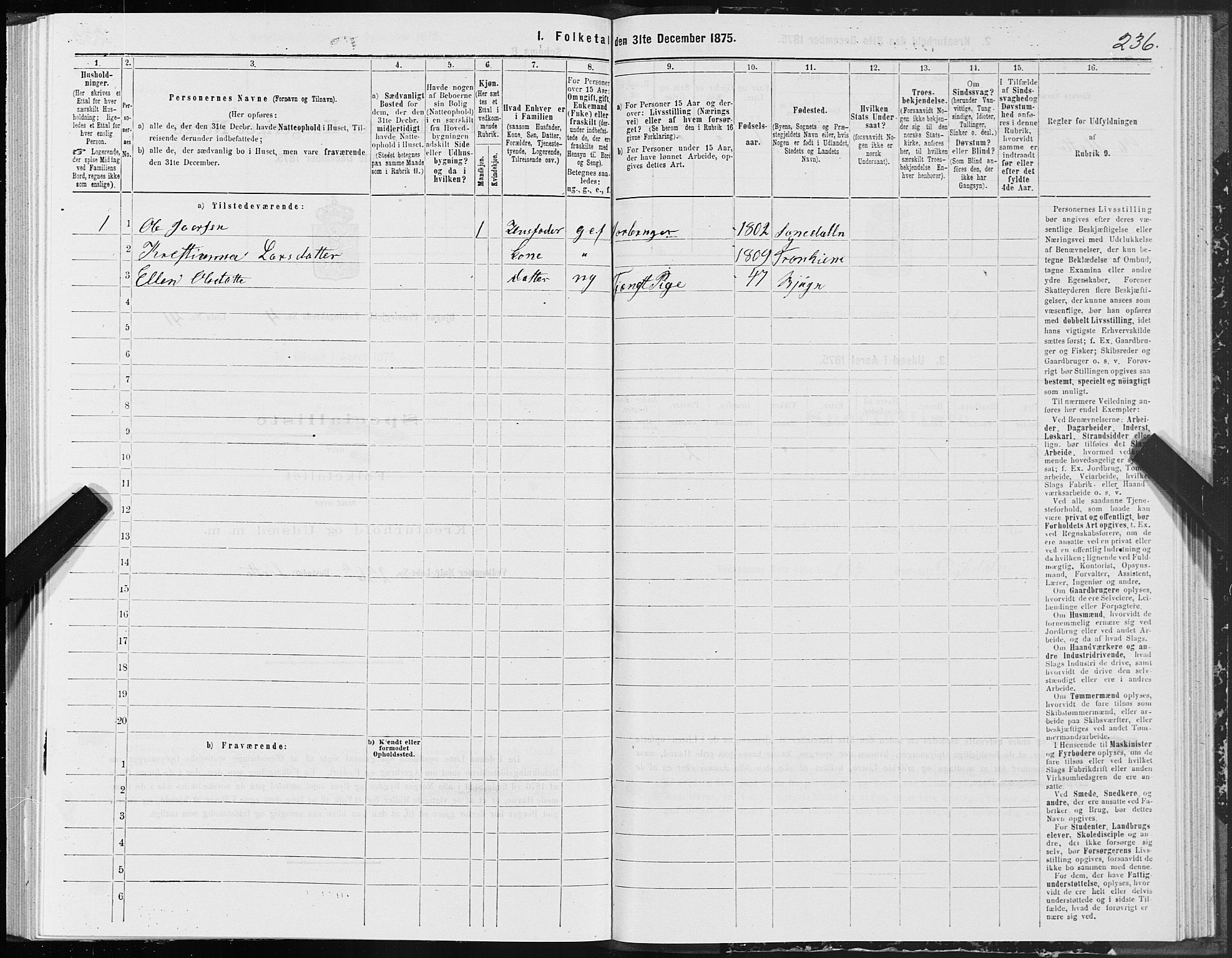 SAT, 1875 census for 1627P Bjugn, 1875, p. 2236