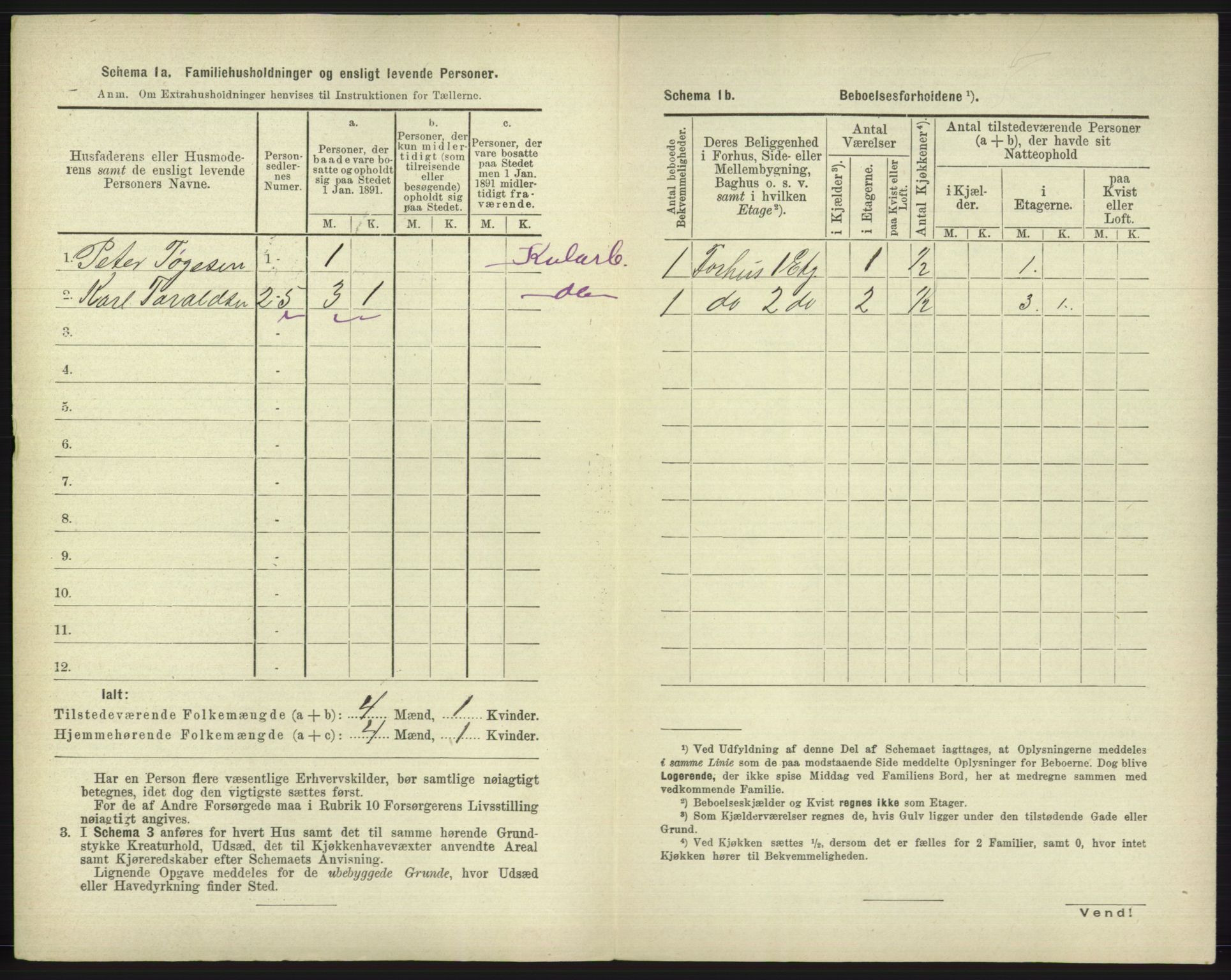 RA, 1891 census for 1804 Bodø, 1891, p. 2894