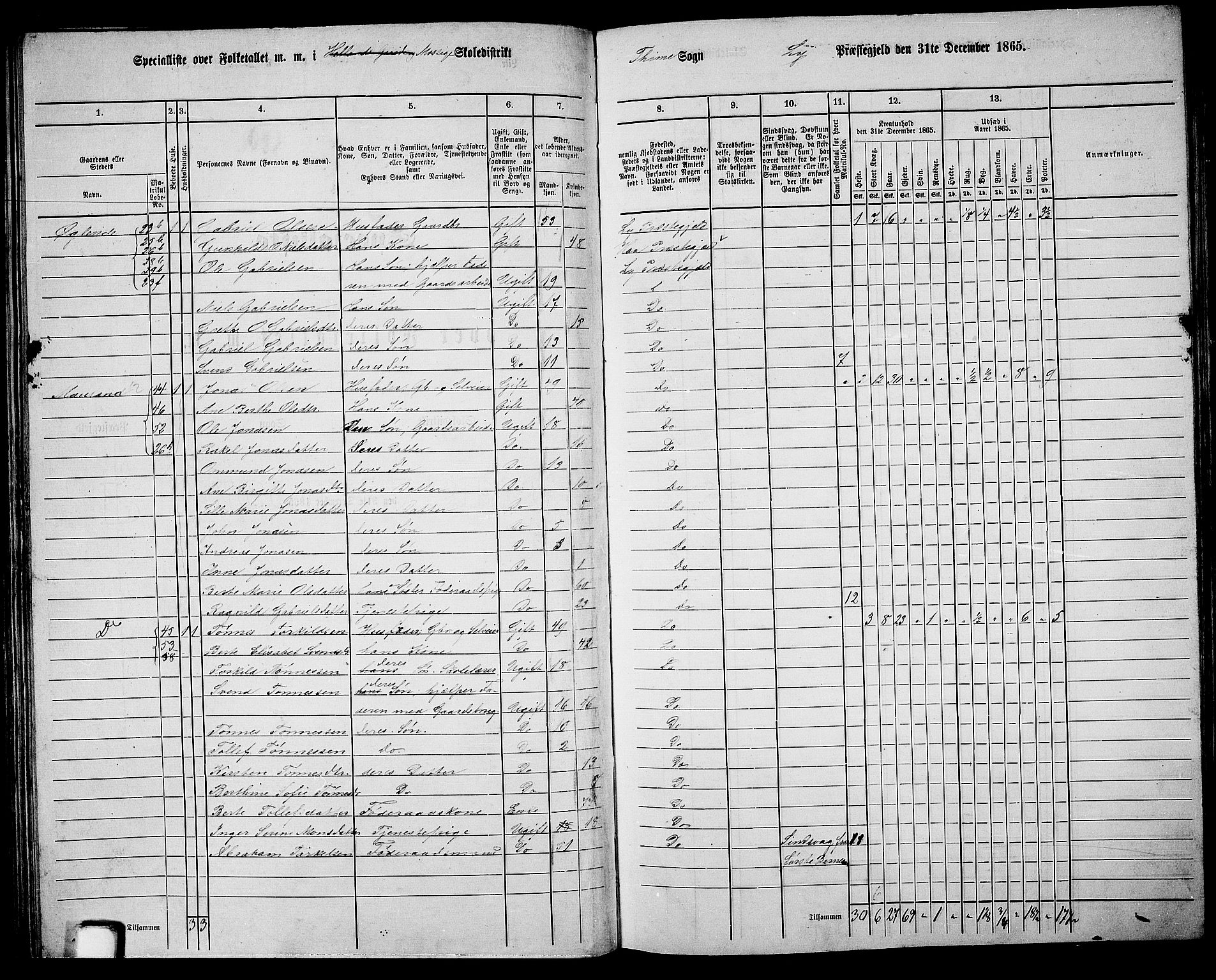 RA, 1865 census for Lye, 1865, p. 80