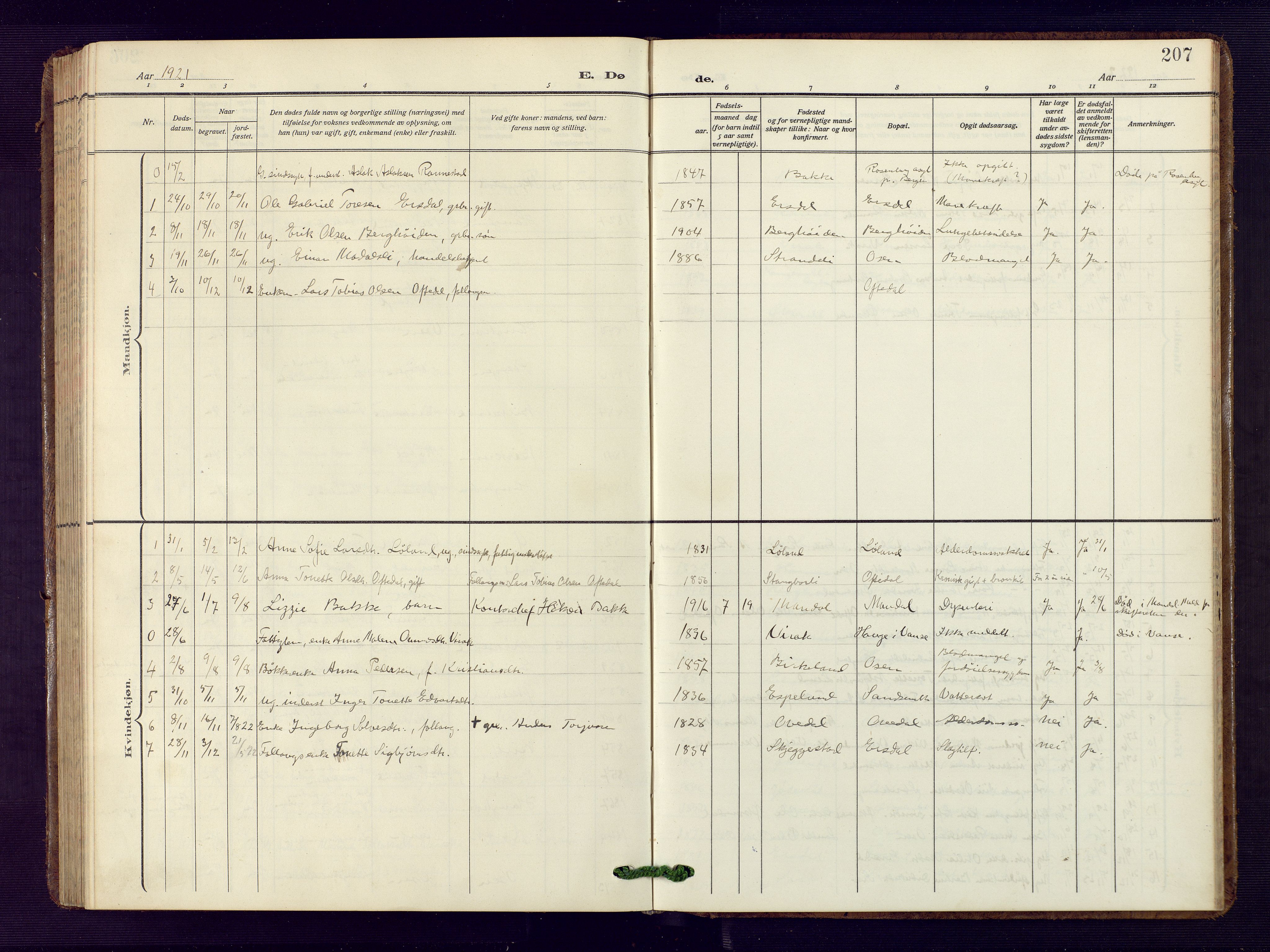 Bakke sokneprestkontor, SAK/1111-0002/F/Fb/Fba/L0004: Parish register (copy) no. B 4, 1911-1946, p. 207