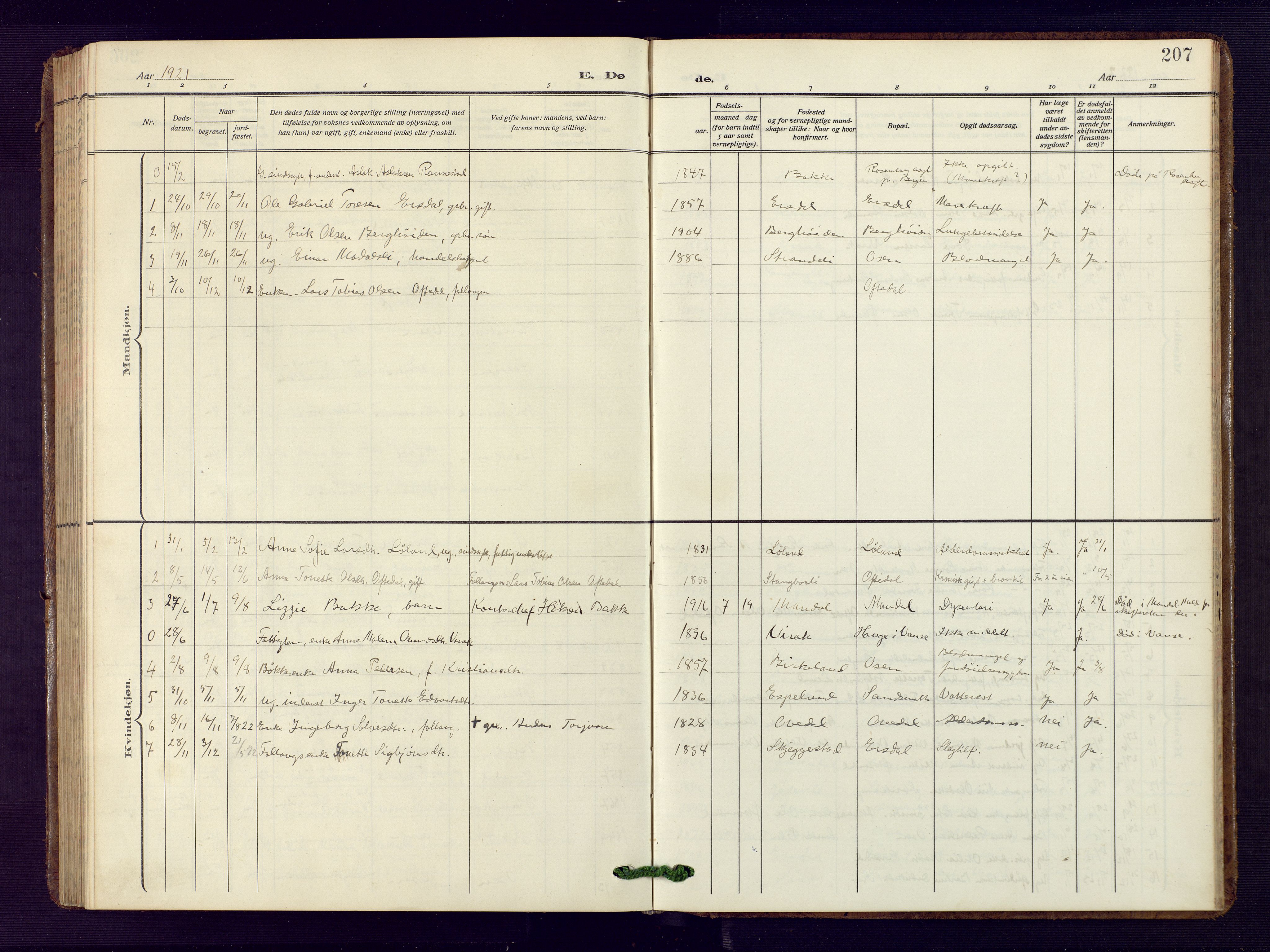 Bakke sokneprestkontor, AV/SAK-1111-0002/F/Fb/Fba/L0004: Parish register (copy) no. B 4, 1911-1946, p. 207