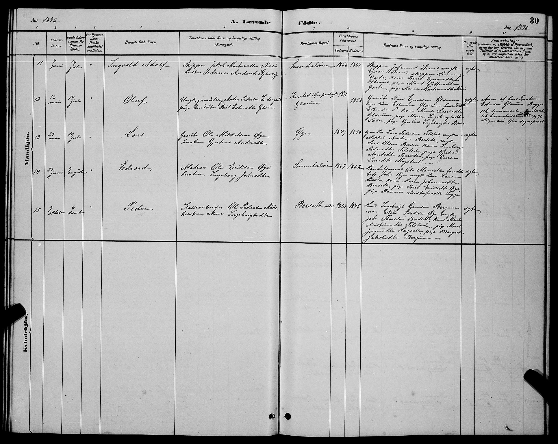 Ministerialprotokoller, klokkerbøker og fødselsregistre - Møre og Romsdal, AV/SAT-A-1454/595/L1052: Parish register (copy) no. 595C04, 1885-1900, p. 30