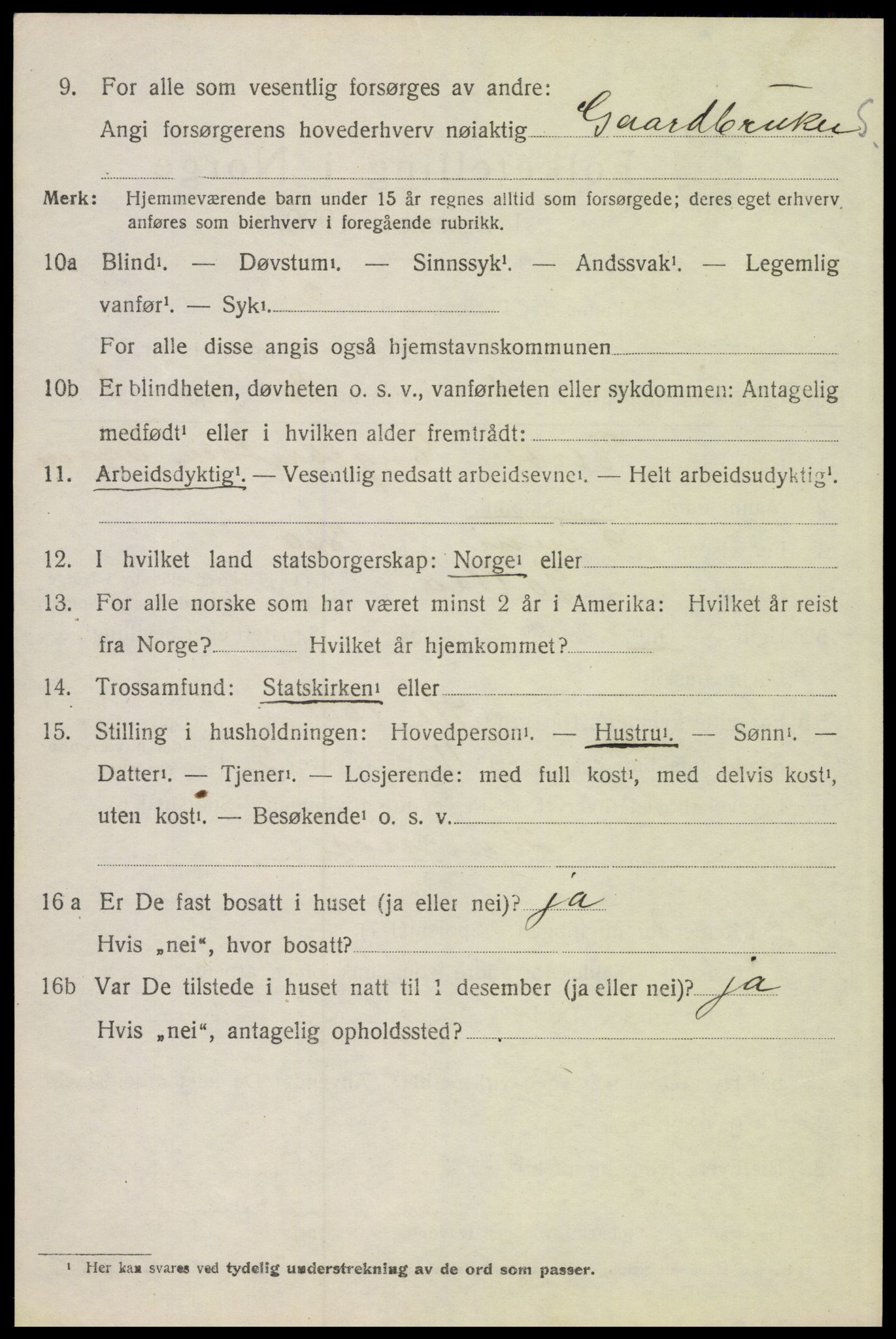 SAH, 1920 census for Sollia, 1920, p. 306