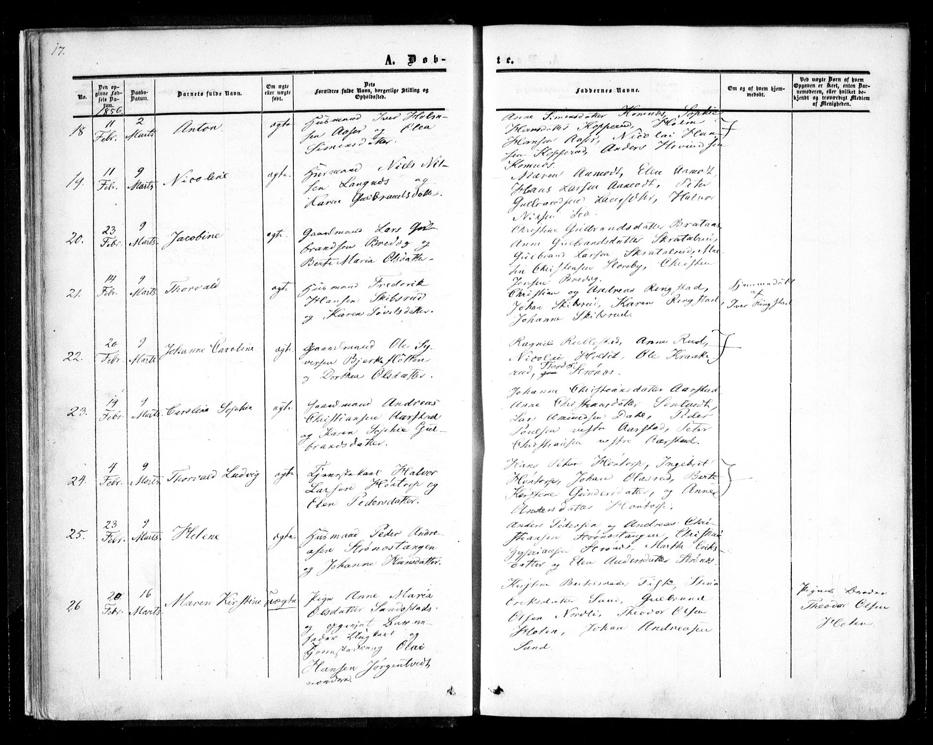 Trøgstad prestekontor Kirkebøker, SAO/A-10925/F/Fa/L0008.a: Parish register (official) no. I 8A, 1855-1864, p. 17