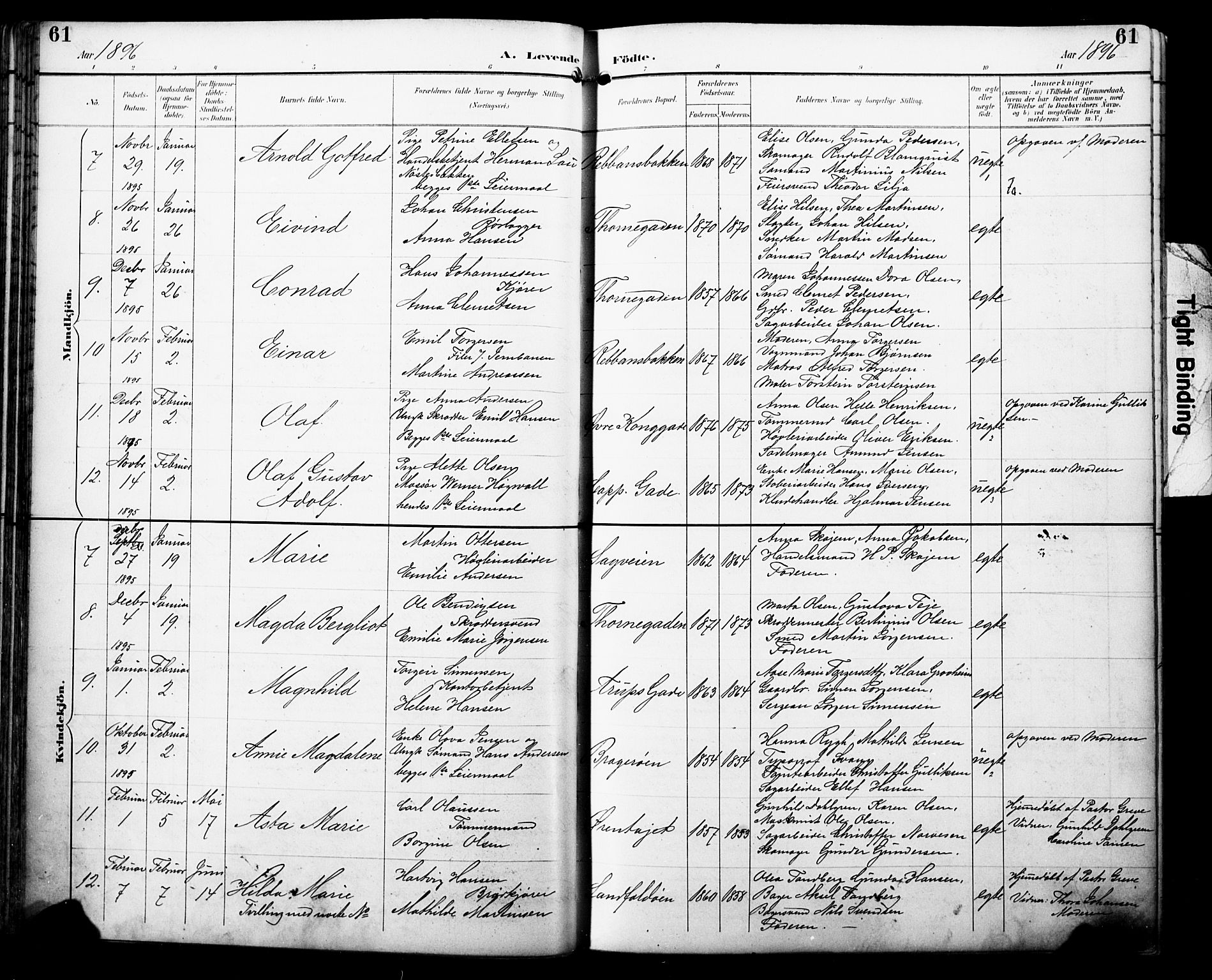 Bragernes kirkebøker, AV/SAKO-A-6/F/Fb/L0008: Parish register (official) no. II 8, 1894-1902, p. 61