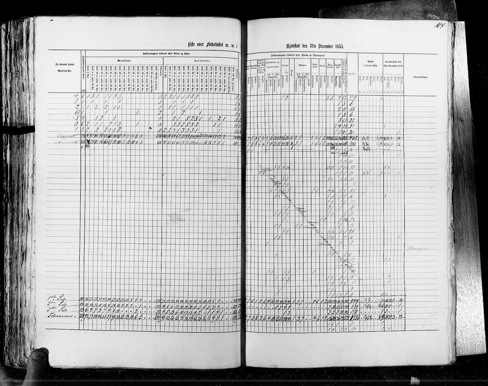 RA, Census 1855, vol. 7: Fredrikshald-Kragerø, 1855, p. 104