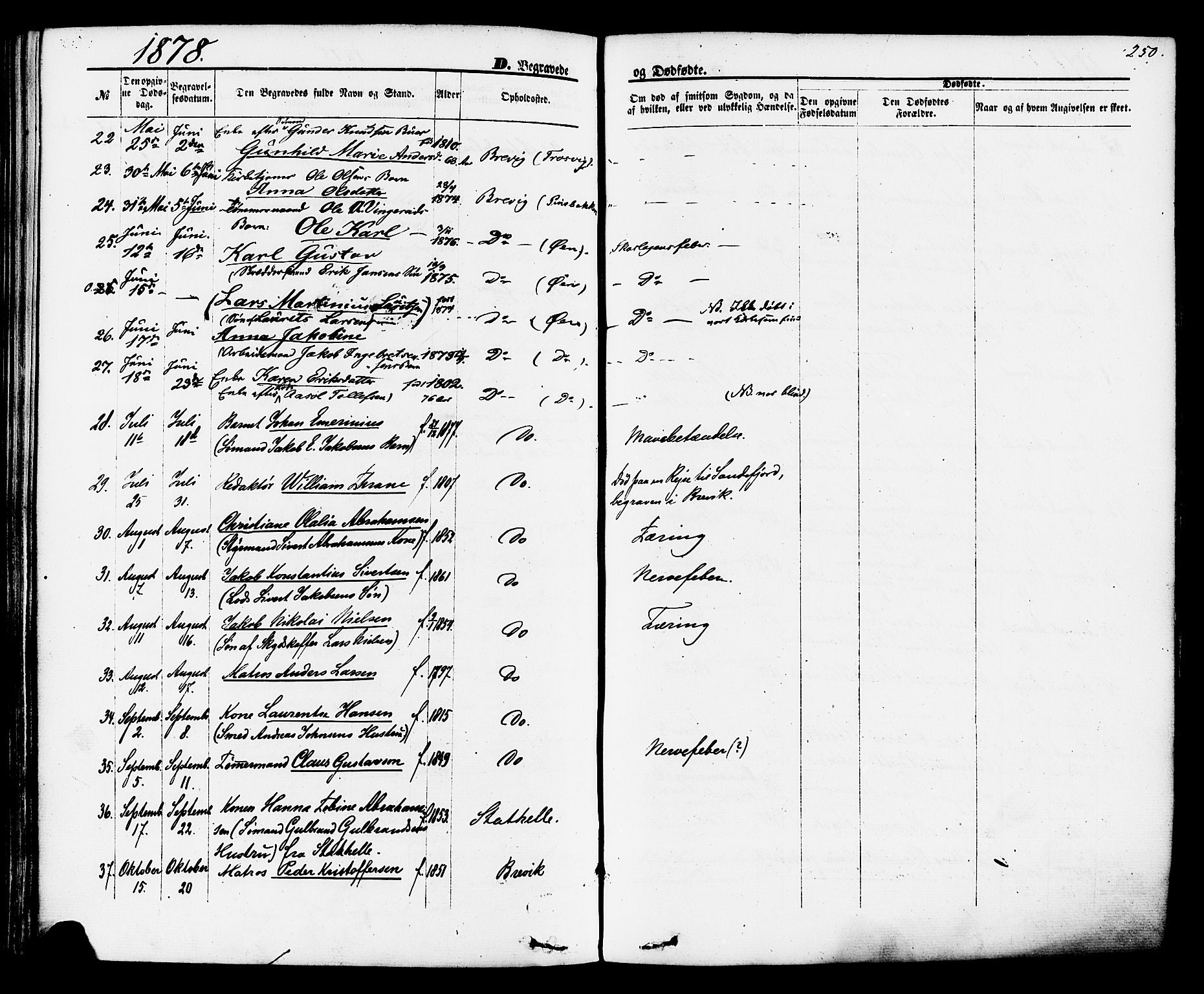 Brevik kirkebøker, SAKO/A-255/F/Fa/L0006: Parish register (official) no. 6, 1866-1881, p. 250