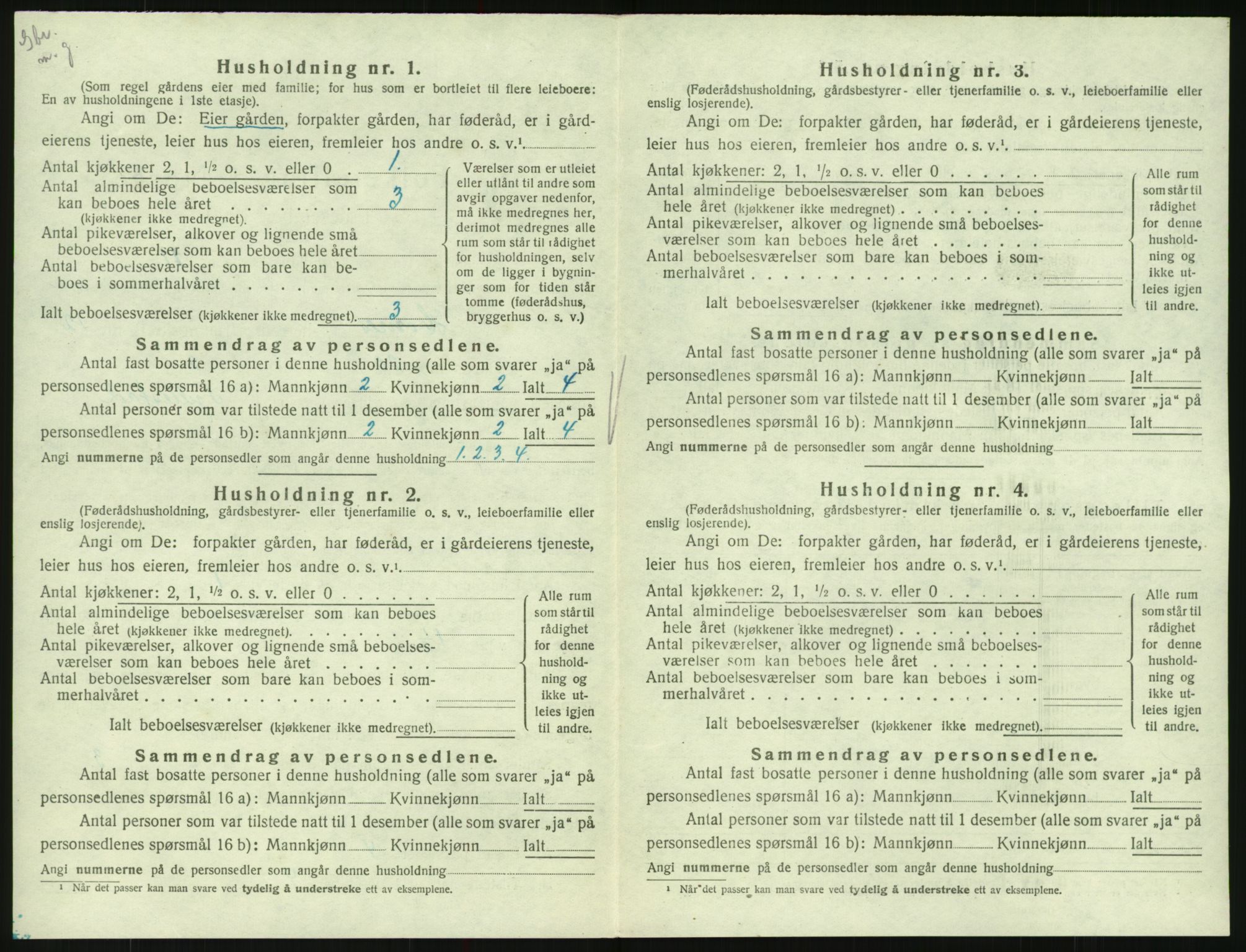 SAK, 1920 census for Hornnes, 1920, p. 494