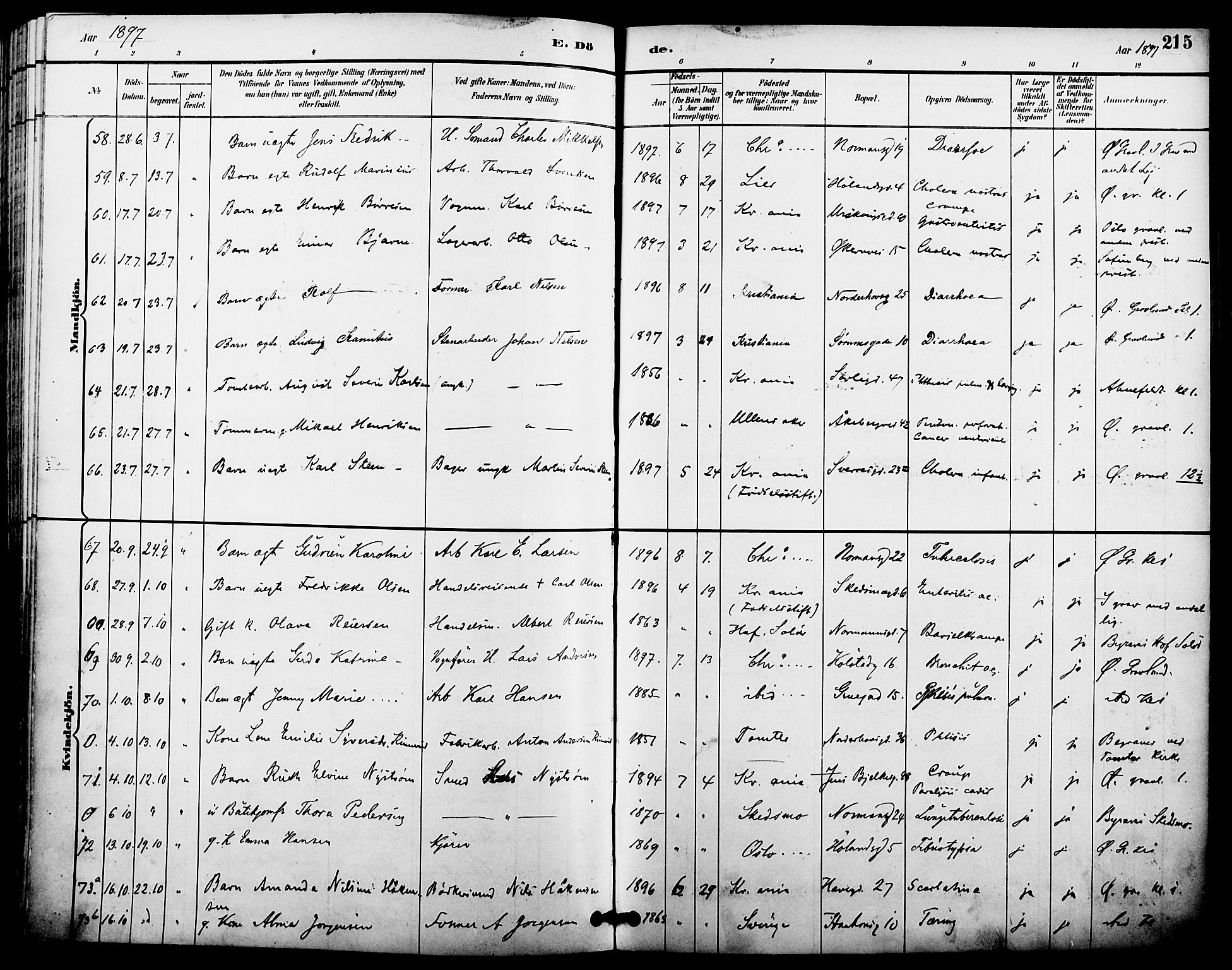 Kampen prestekontor Kirkebøker, SAO/A-10853/F/Fa/L0008: Parish register (official) no. I 8, 1892-1902, p. 215