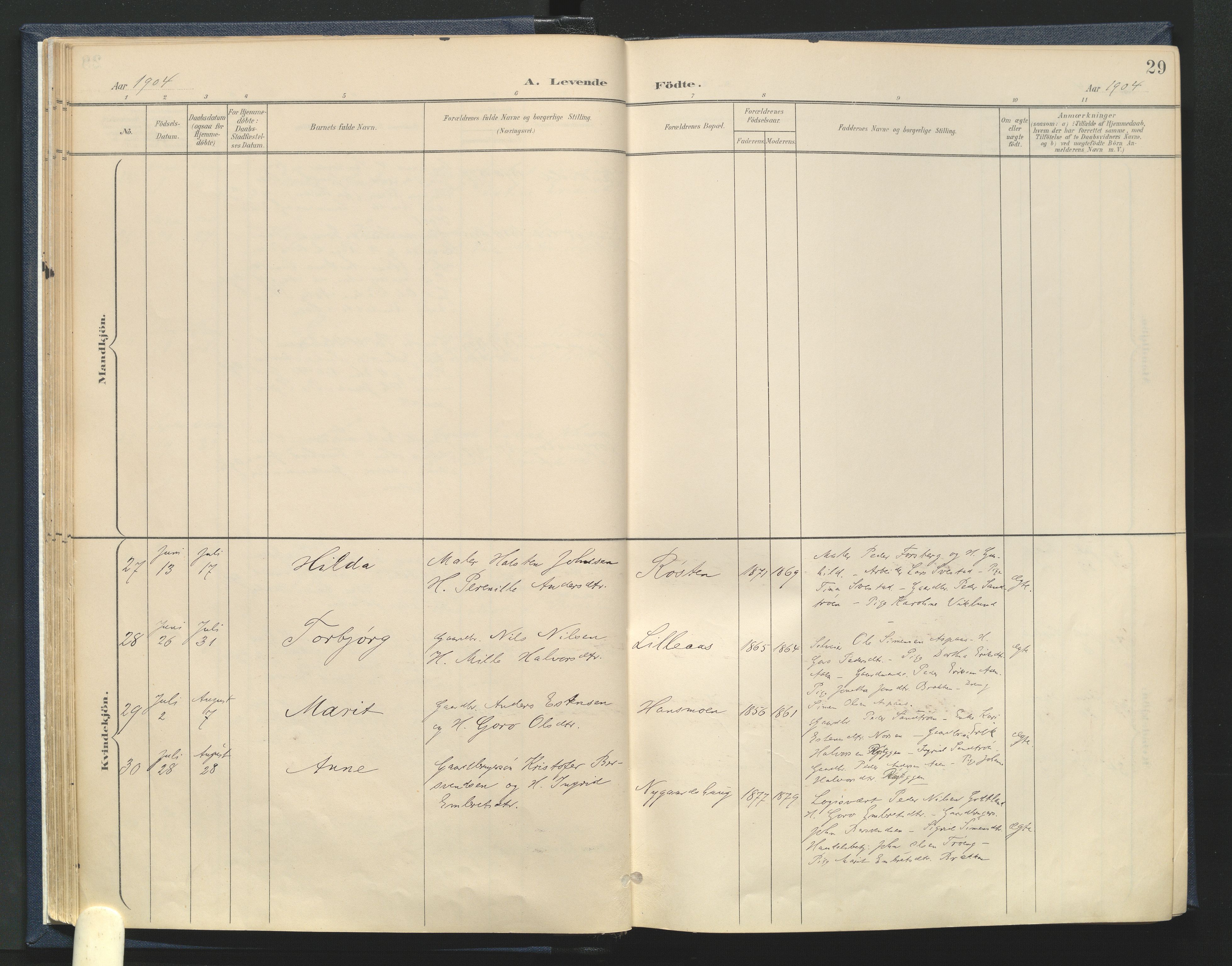 Tynset prestekontor, AV/SAH-PREST-058/H/Ha/Haa/L0025: Parish register (official) no. 25, 1900-1914, p. 29