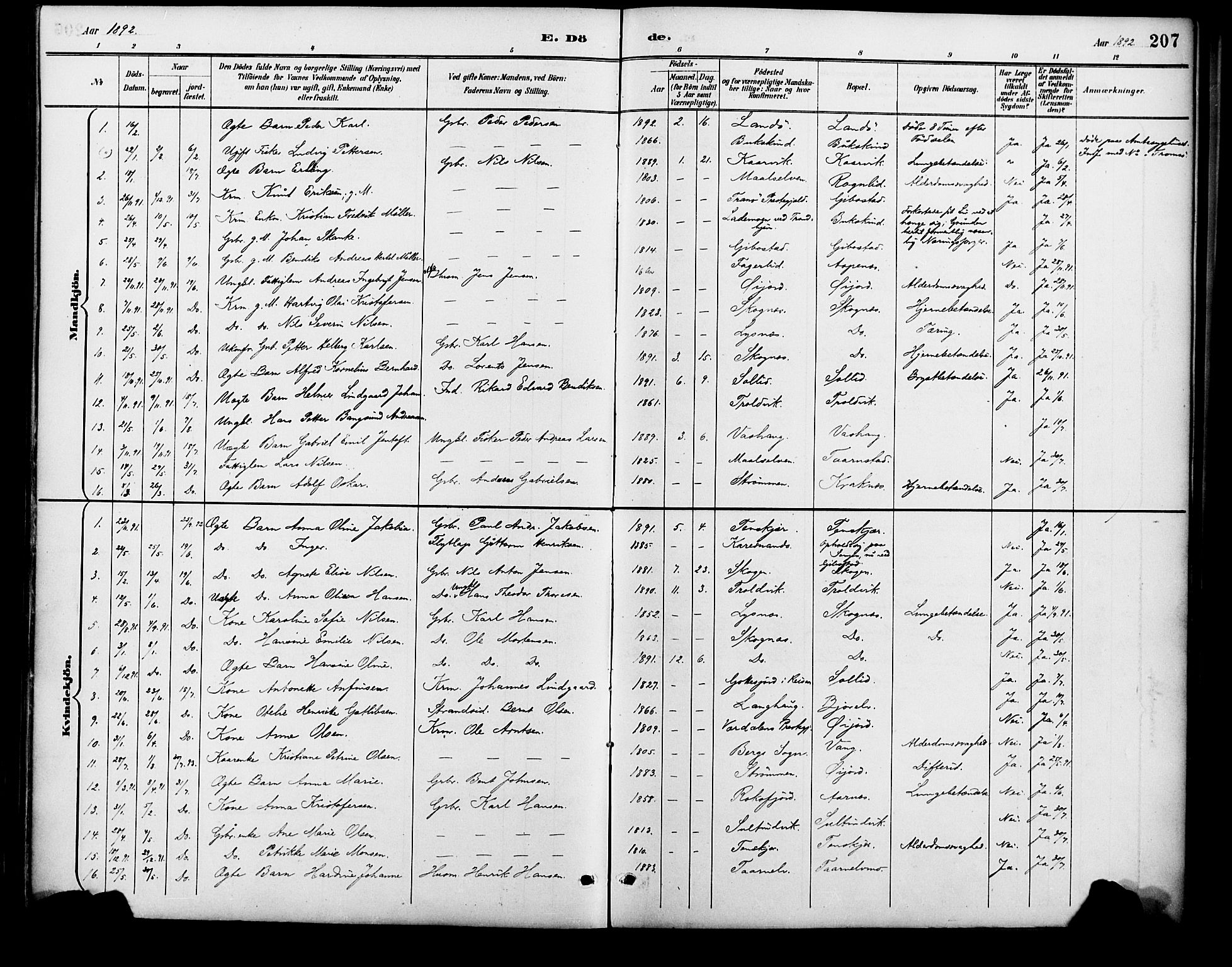 Lenvik sokneprestembete, SATØ/S-1310/H/Ha/Haa/L0013kirke: Parish register (official) no. 13, 1890-1898, p. 207