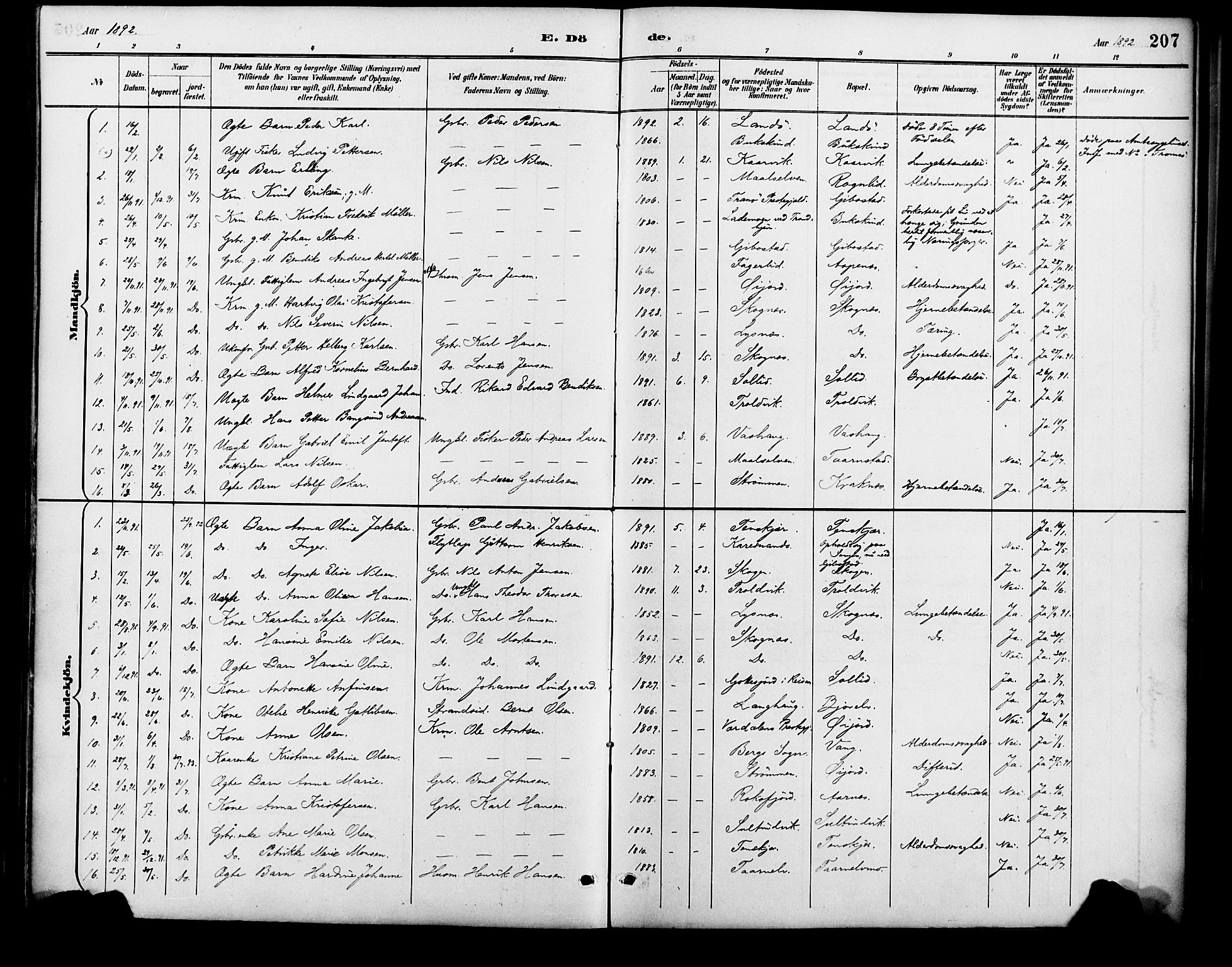 Lenvik sokneprestembete, AV/SATØ-S-1310/H/Ha/Haa/L0013kirke: Parish register (official) no. 13, 1890-1898, p. 207