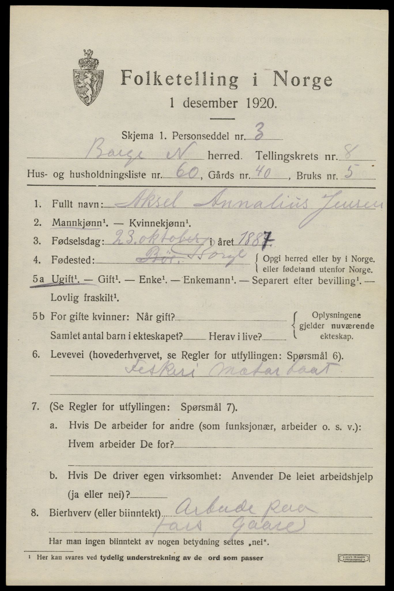 SAT, 1920 census for Borge, 1920, p. 8019