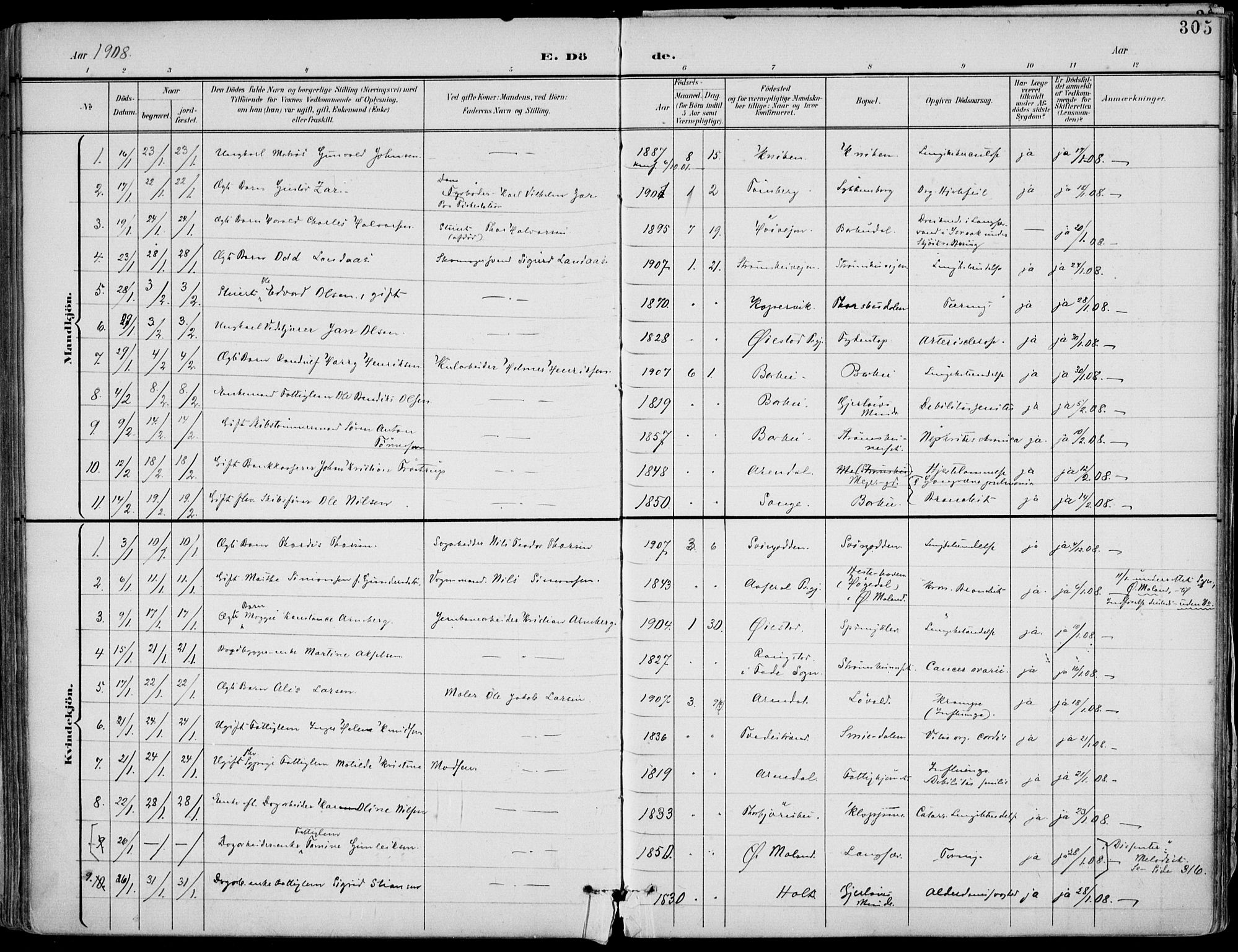 Barbu sokneprestkontor, AV/SAK-1111-0003/F/Fa/L0005: Parish register (official) no. A 5, 1899-1909, p. 305