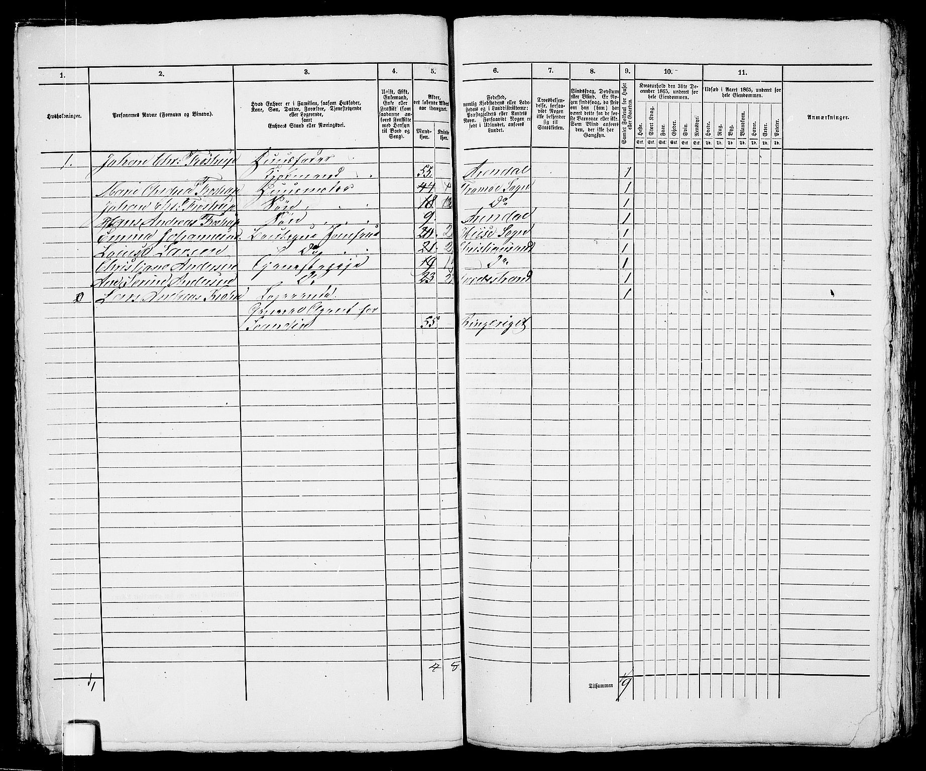 RA, 1865 census for Arendal, 1865, p. 405