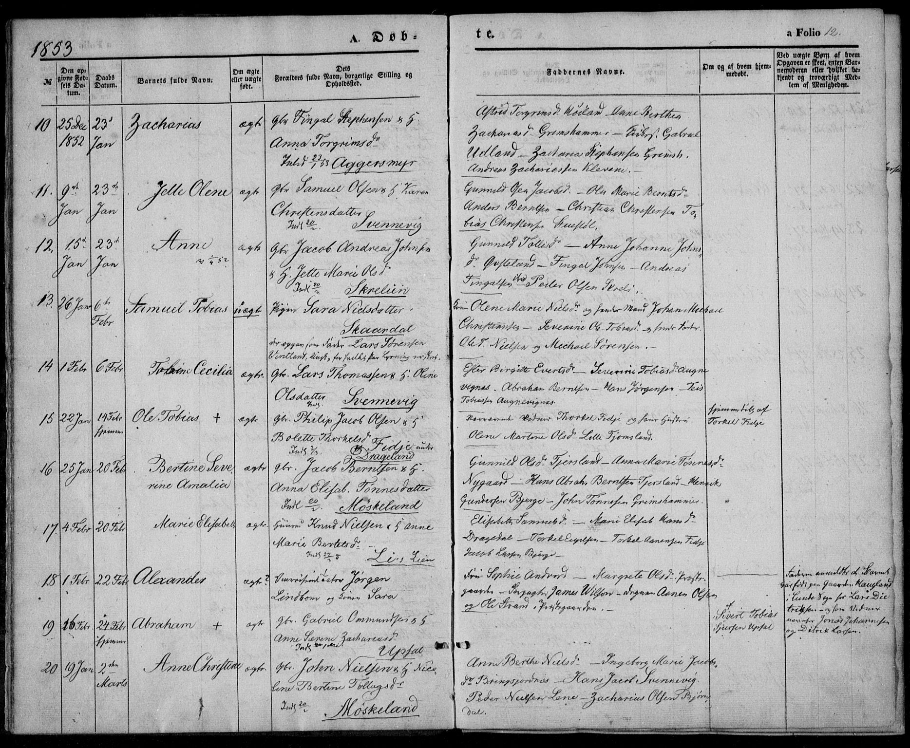 Lyngdal sokneprestkontor, AV/SAK-1111-0029/F/Fa/Fac/L0009: Parish register (official) no. A 9, 1852-1864, p. 12