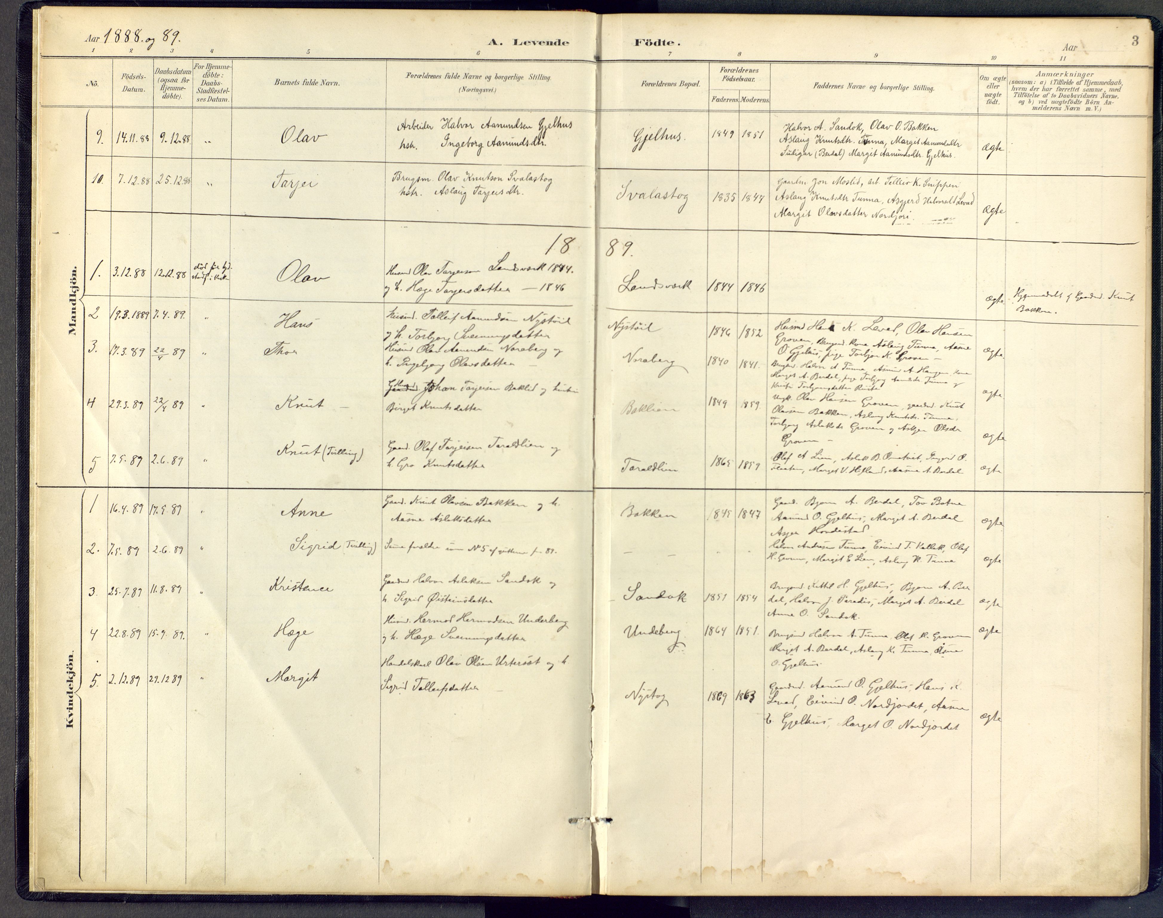 Vinje kirkebøker, SAKO/A-312/F/Fb/L0002: Parish register (official) no. II 2, 1887-1925, p. 3