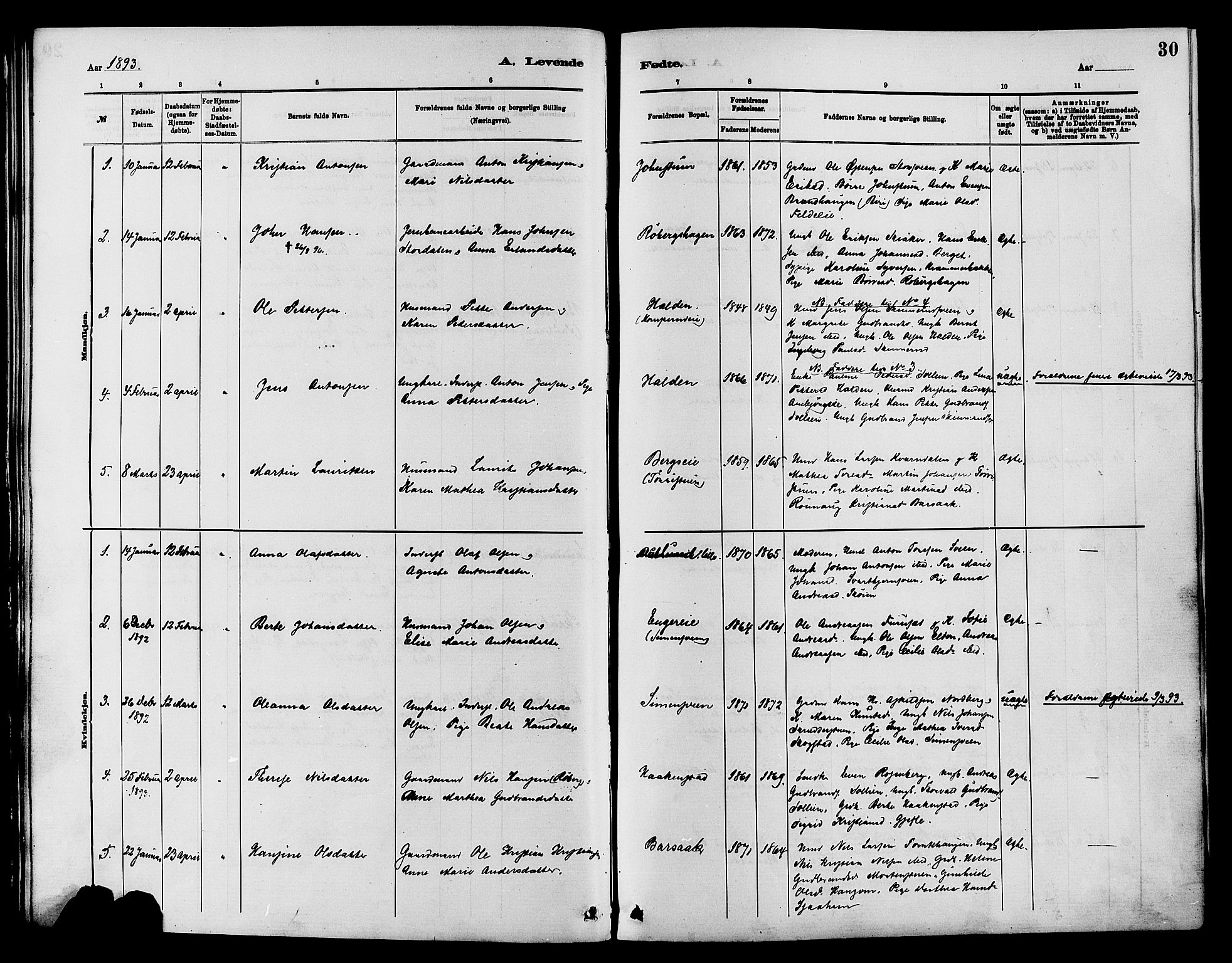 Nordre Land prestekontor, AV/SAH-PREST-124/H/Ha/Haa/L0003: Parish register (official) no. 3, 1882-1896, p. 30