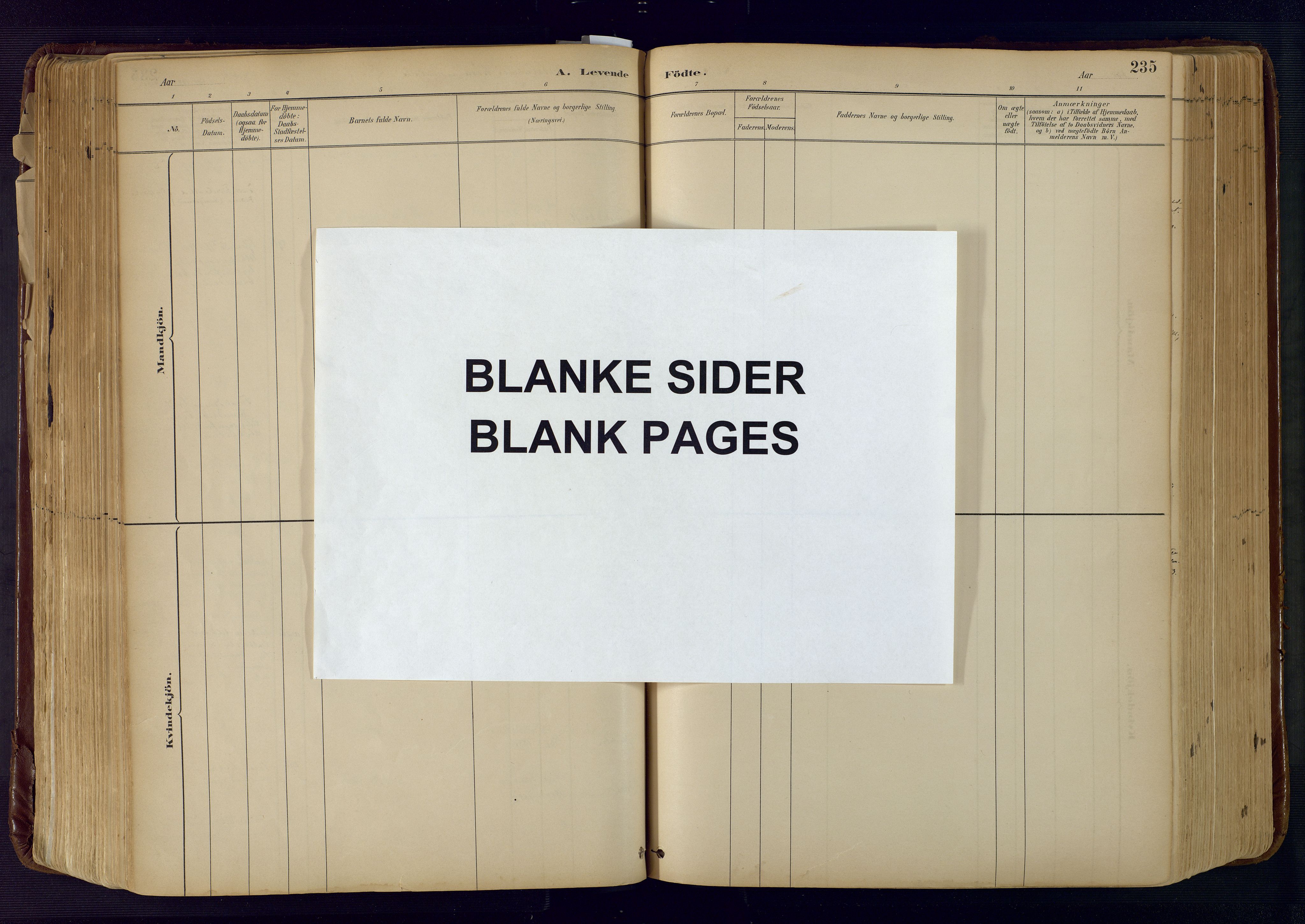 Froland sokneprestkontor, AV/SAK-1111-0013/F/Fa/L0005: Parish register (official) no. A 5, 1882-1921, p. 235