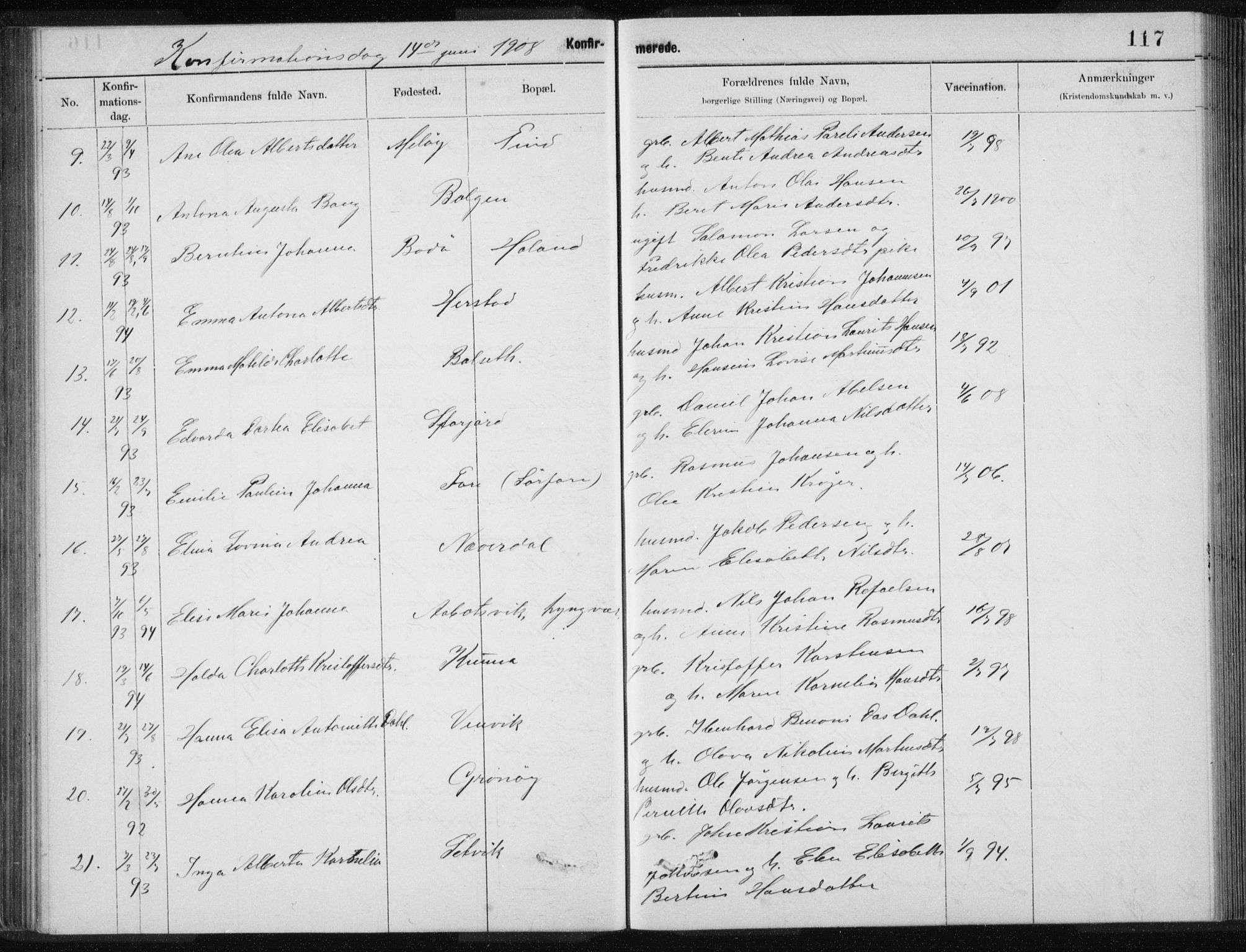 Ministerialprotokoller, klokkerbøker og fødselsregistre - Nordland, AV/SAT-A-1459/843/L0637: Parish register (copy) no. 843C06, 1884-1908, p. 117