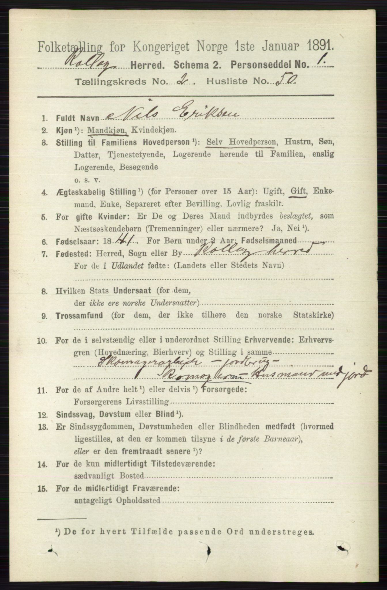 RA, 1891 census for 0632 Rollag, 1891, p. 738