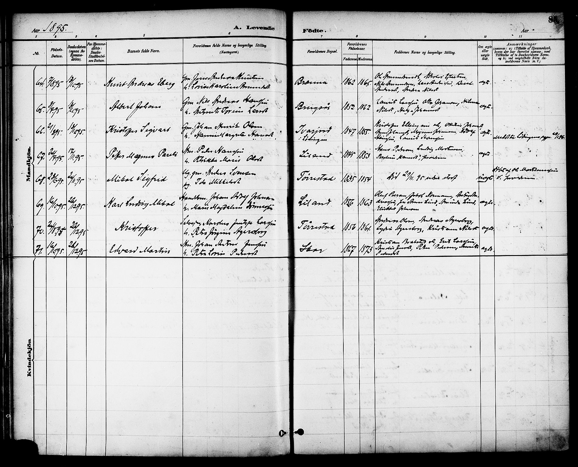 Ministerialprotokoller, klokkerbøker og fødselsregistre - Nordland, AV/SAT-A-1459/863/L0898: Parish register (official) no. 863A10, 1886-1897, p. 85
