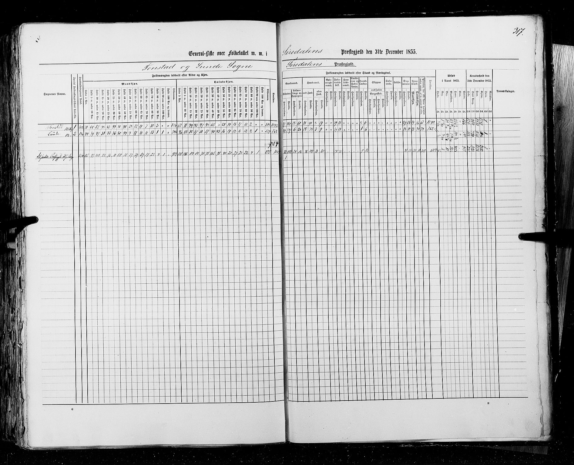 RA, Census 1855, vol. 3: Bratsberg amt, Nedenes amt og Lister og Mandal amt, 1855, p. 317