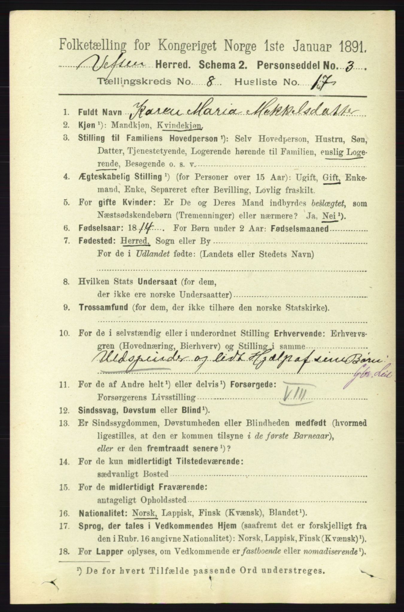 RA, 1891 census for 1824 Vefsn, 1891, p. 4348