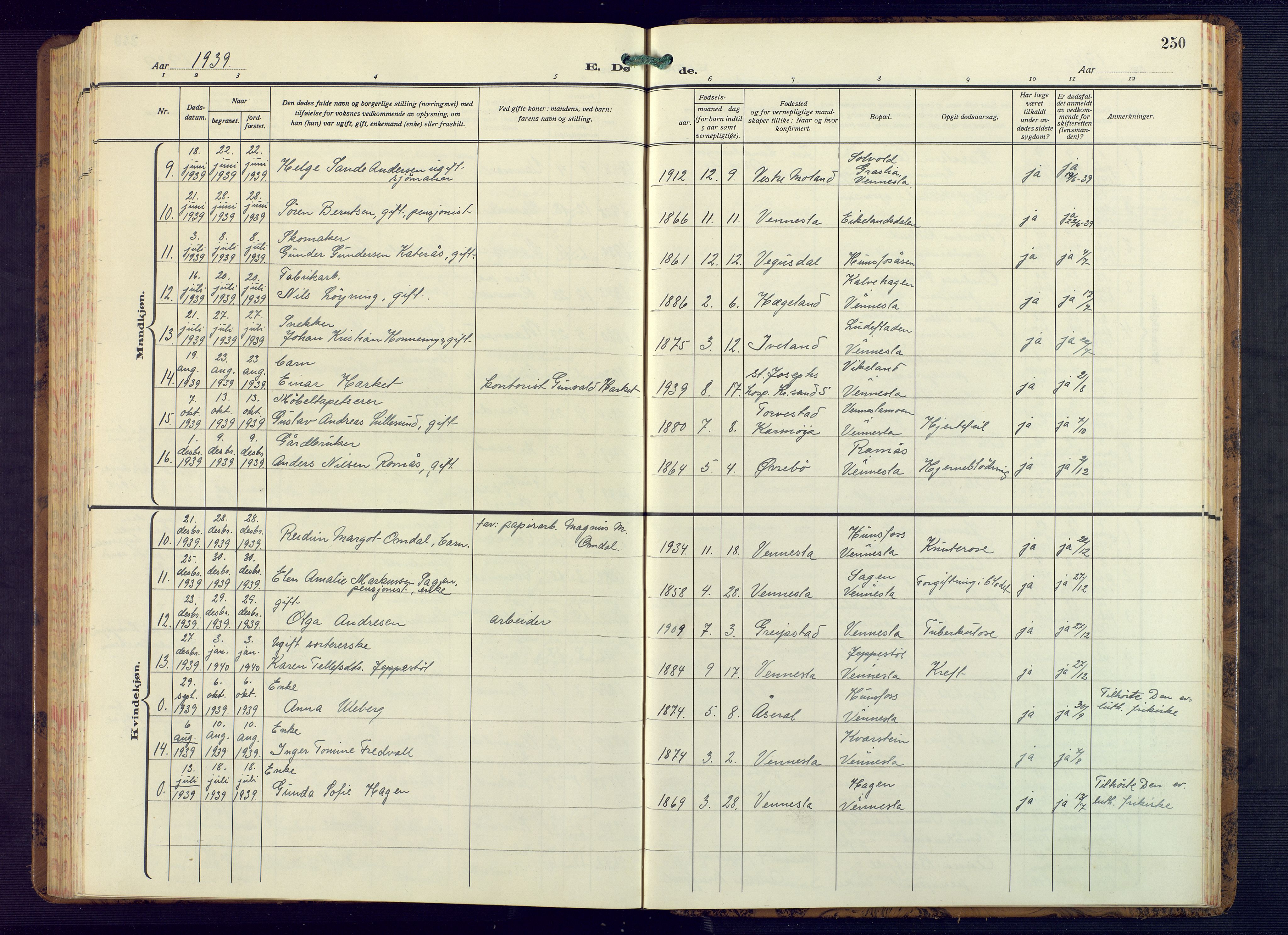 Vennesla sokneprestkontor, AV/SAK-1111-0045/Fb/Fbb/L0008: Parish register (copy) no. B 8, 1934-1947, p. 250