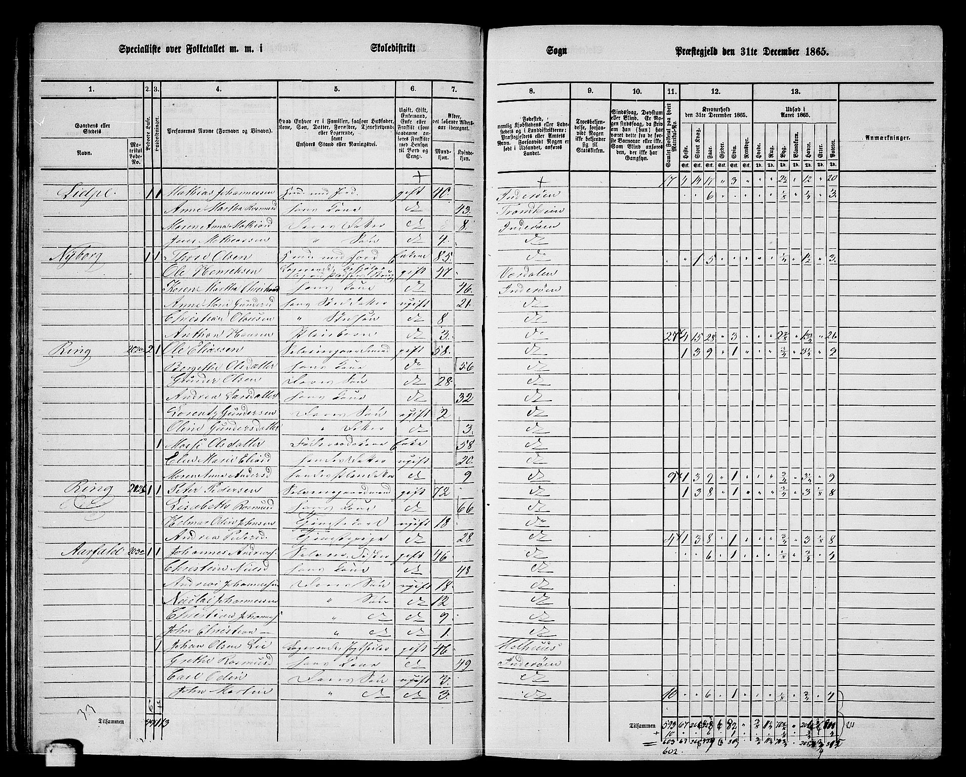 RA, 1865 census for Inderøy, 1865, p. 30