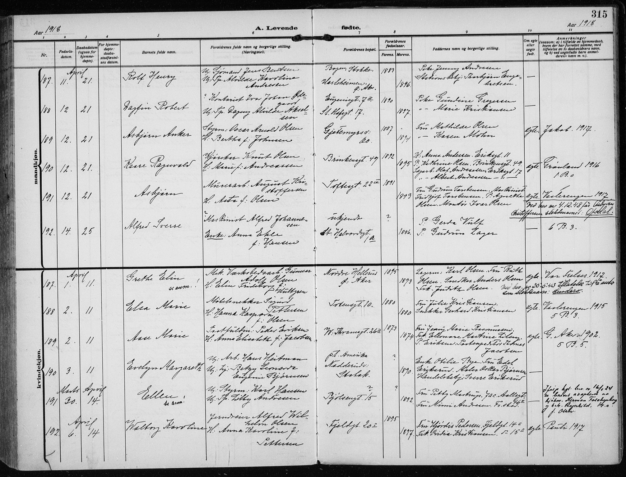 Rikshospitalet prestekontor Kirkebøker, SAO/A-10309b/F/L0016: Parish register (official) no. 16, 1916-1918, p. 315