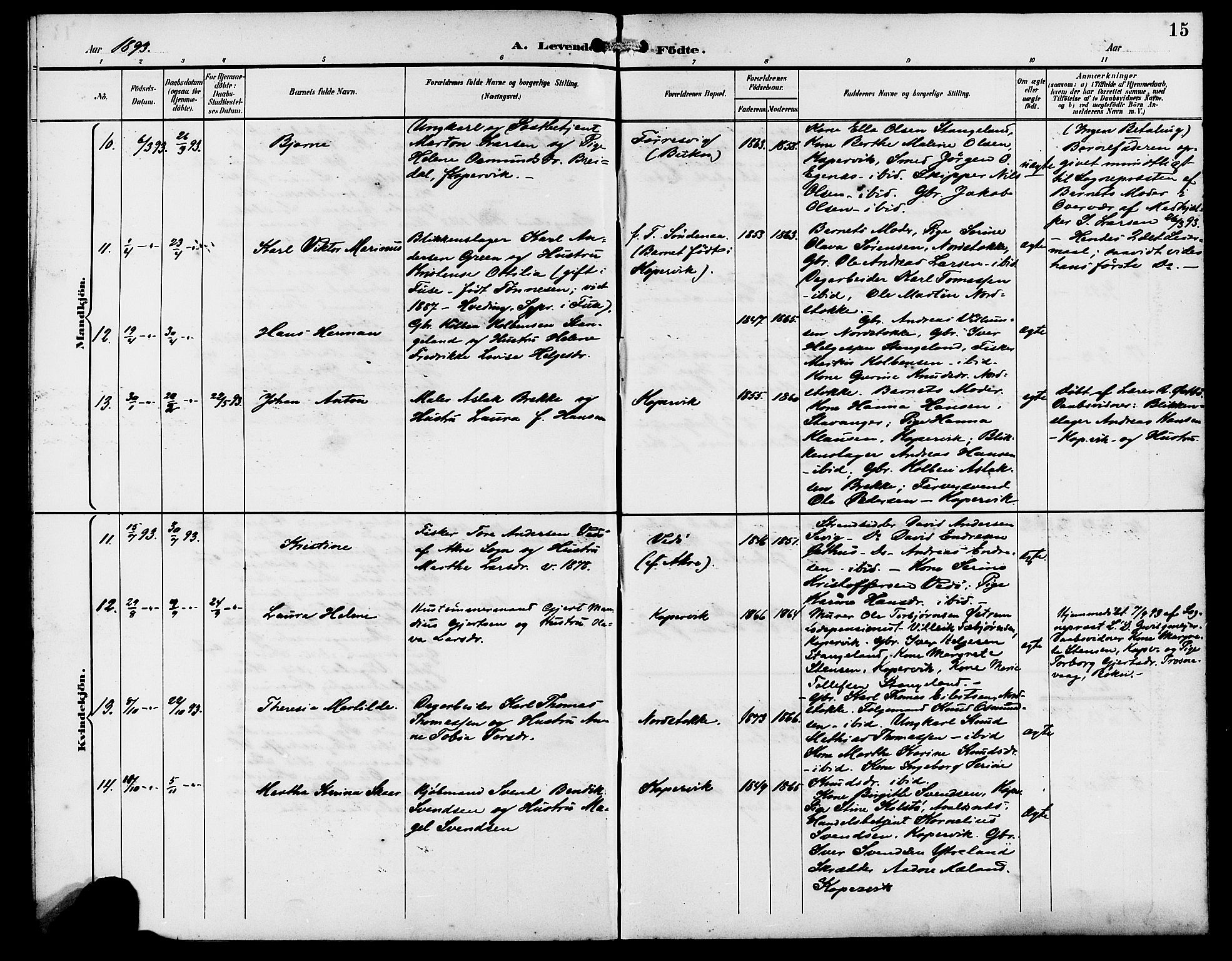 Kopervik sokneprestkontor, AV/SAST-A-101850/H/Ha/Hab/L0003: Parish register (copy) no. B 3, 1891-1909, p. 15