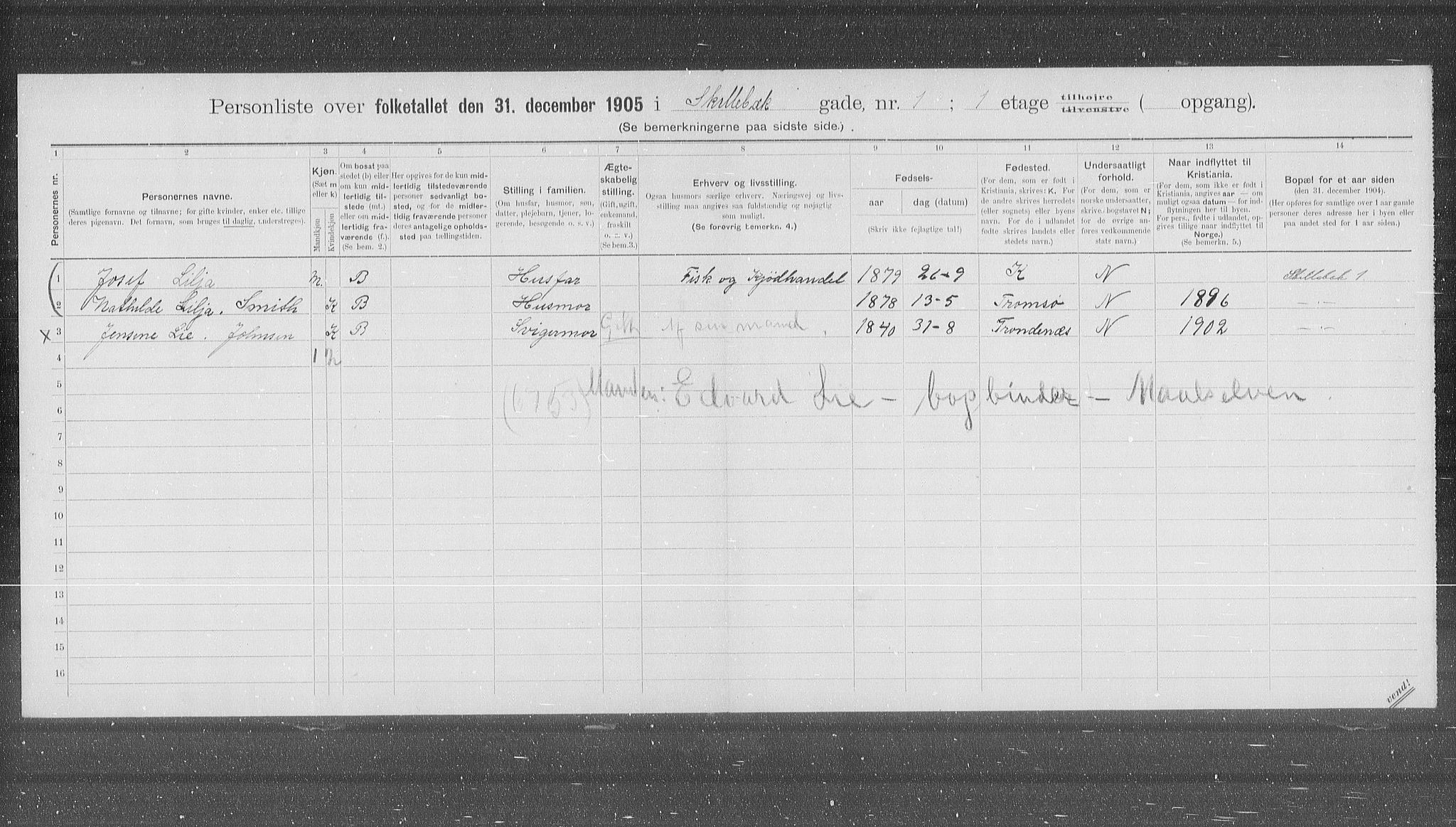 OBA, Municipal Census 1905 for Kristiania, 1905, p. 49502